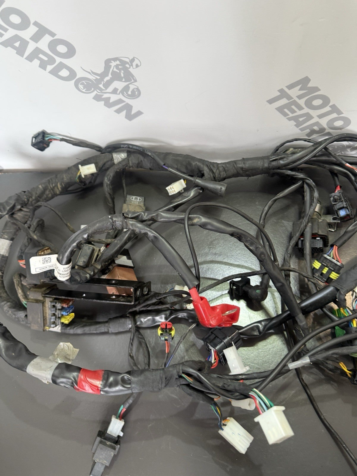 f893b901-6789-4d80-bdd2-3061ce7a34b5