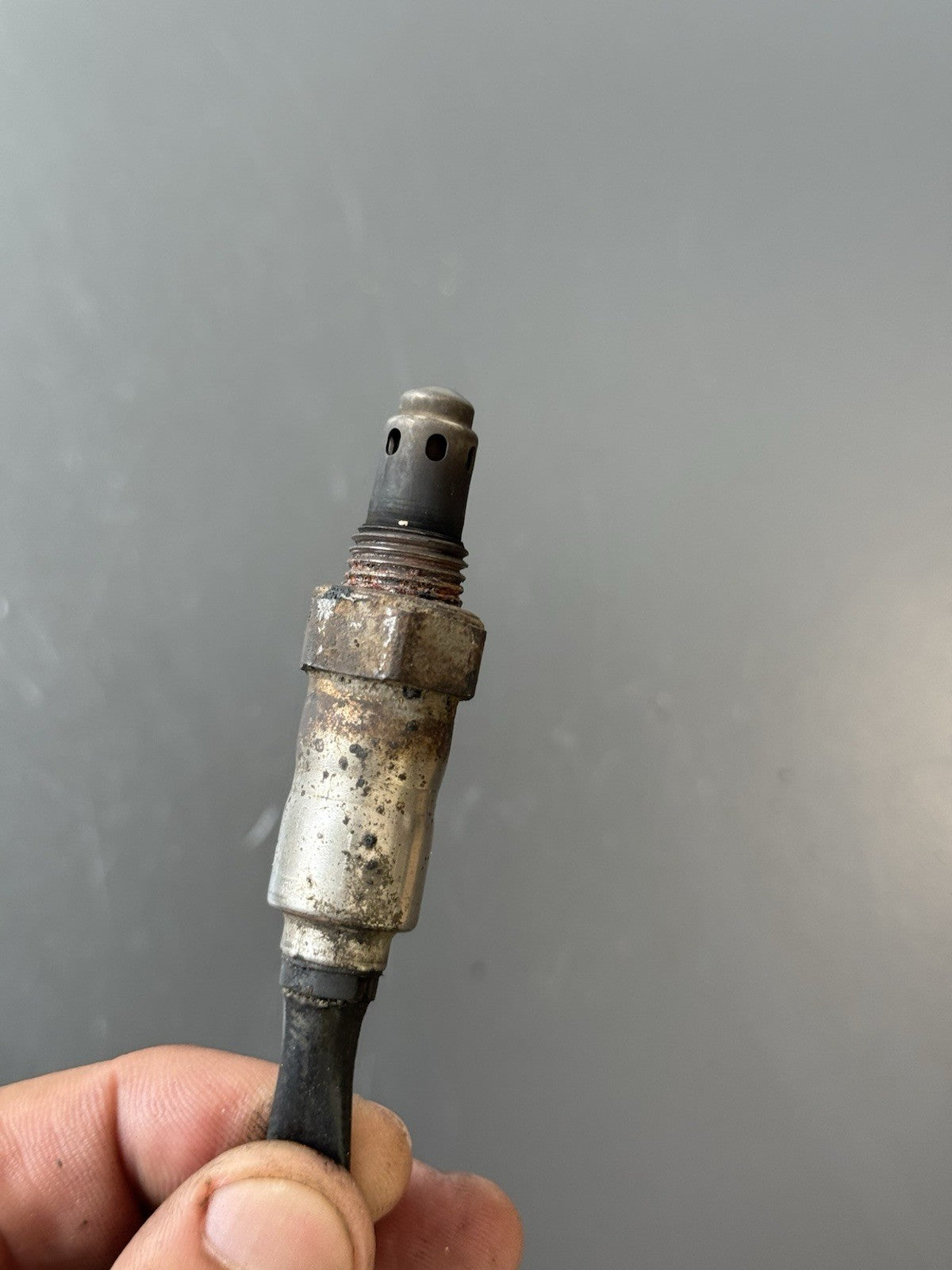 Triumph Trident 660 Lambda Sensor O2 Sensor Exhaust Lambda Sensor 2021-2024 OEM