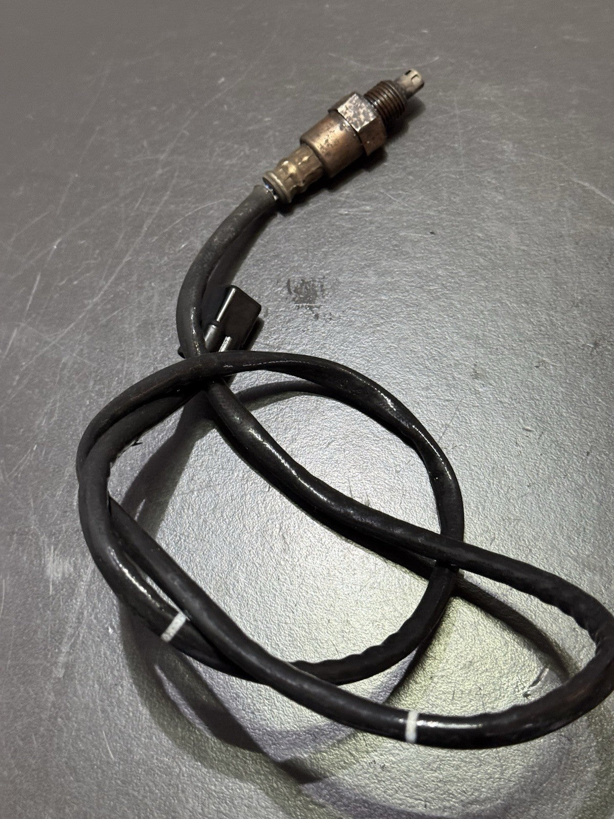 b7185cbf-bc93-4c4b-959b-de76a74f8a44