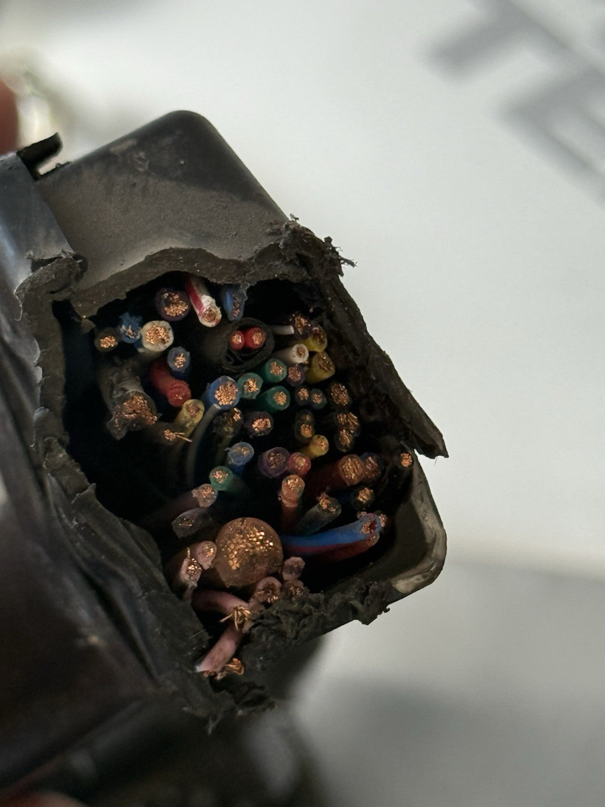 4bad6965-c706-468a-b270-fdd0e69a509a