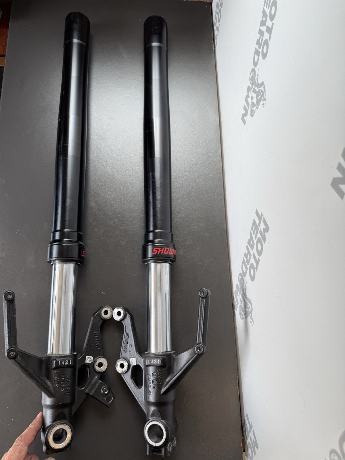 Triumph Trident 660 SHOWA Front Forks Front Suspension 2021-2024 OEM Showa Forks