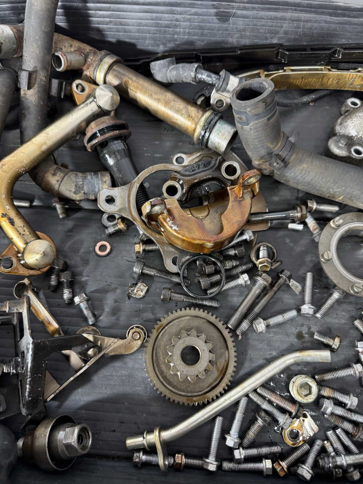 b74662df-feb2-4a88-b4bc-9f65bfe6738b