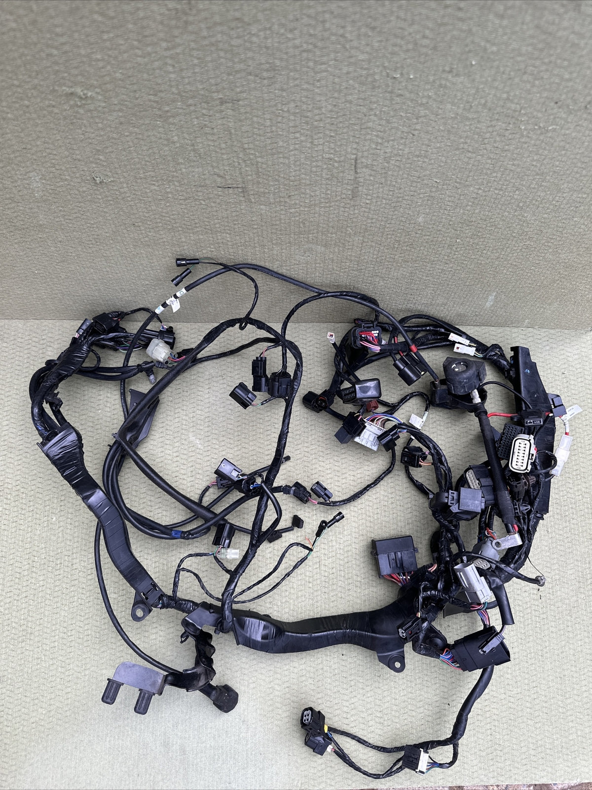 Triumph Speed Triple 1200 RR Main Wire Harness Wires Wiring Loom Full Loom 2022