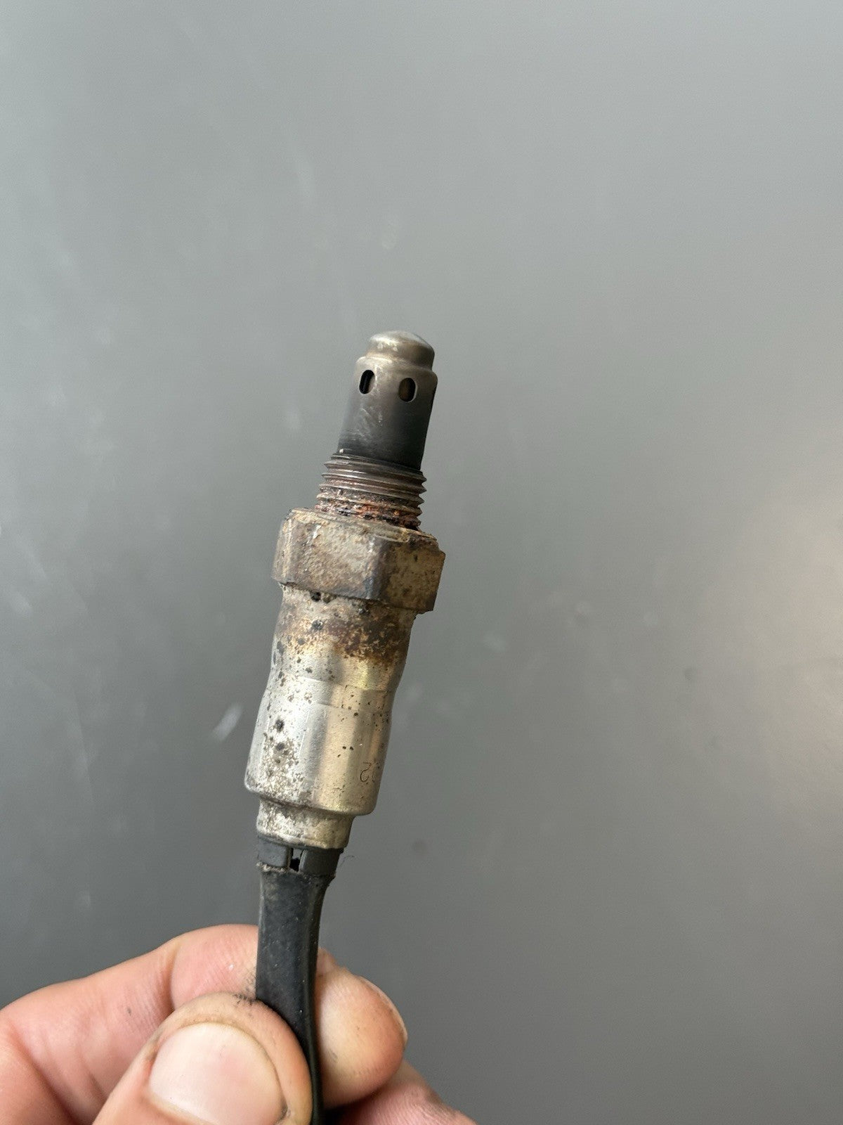 Triumph Trident 660 Lambda Sensor O2 Sensor Exhaust Lambda Sensor 2021-2024 OEM