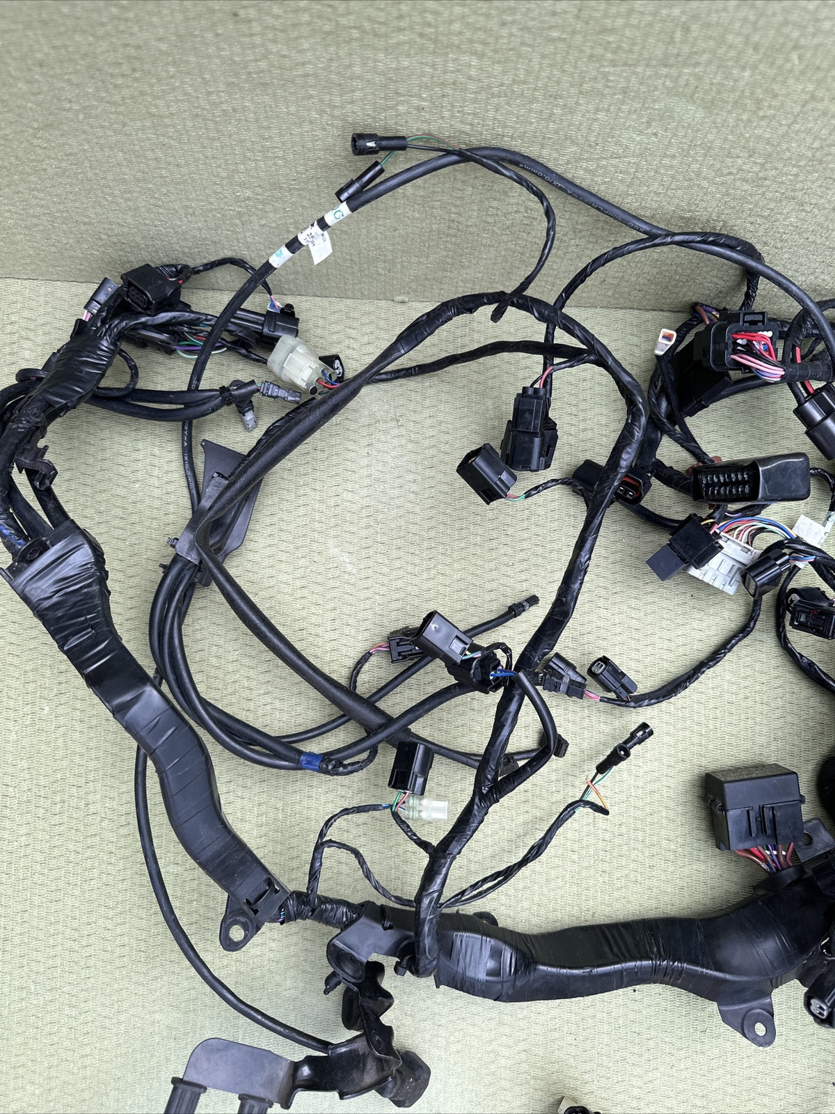 Triumph Speed Triple 1200 RR Main Wire Harness Wires Wiring Loom Full Loom 2022