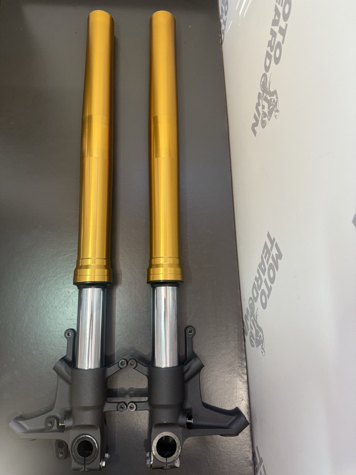 cf67a5fe-56cc-47de-bee4-ed29e3e22859