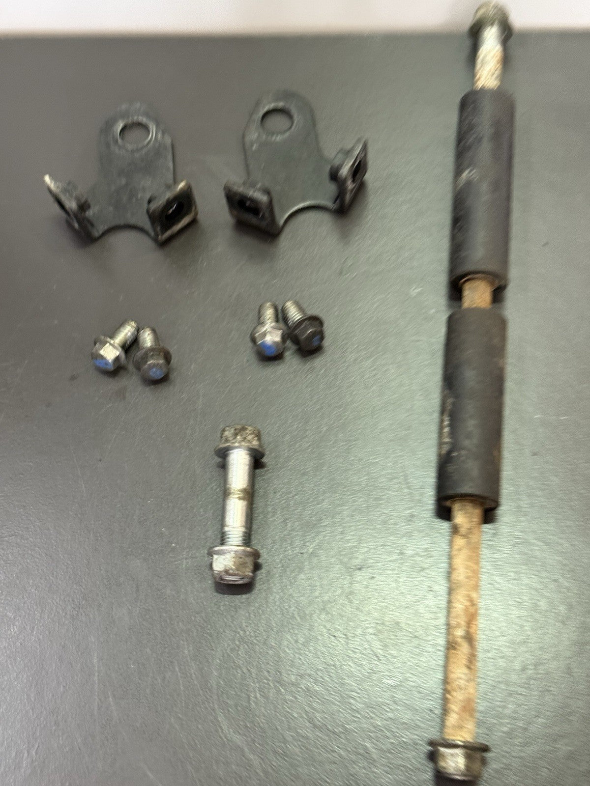 56bf6786-3682-4bb7-a0c5-137c17aeca03