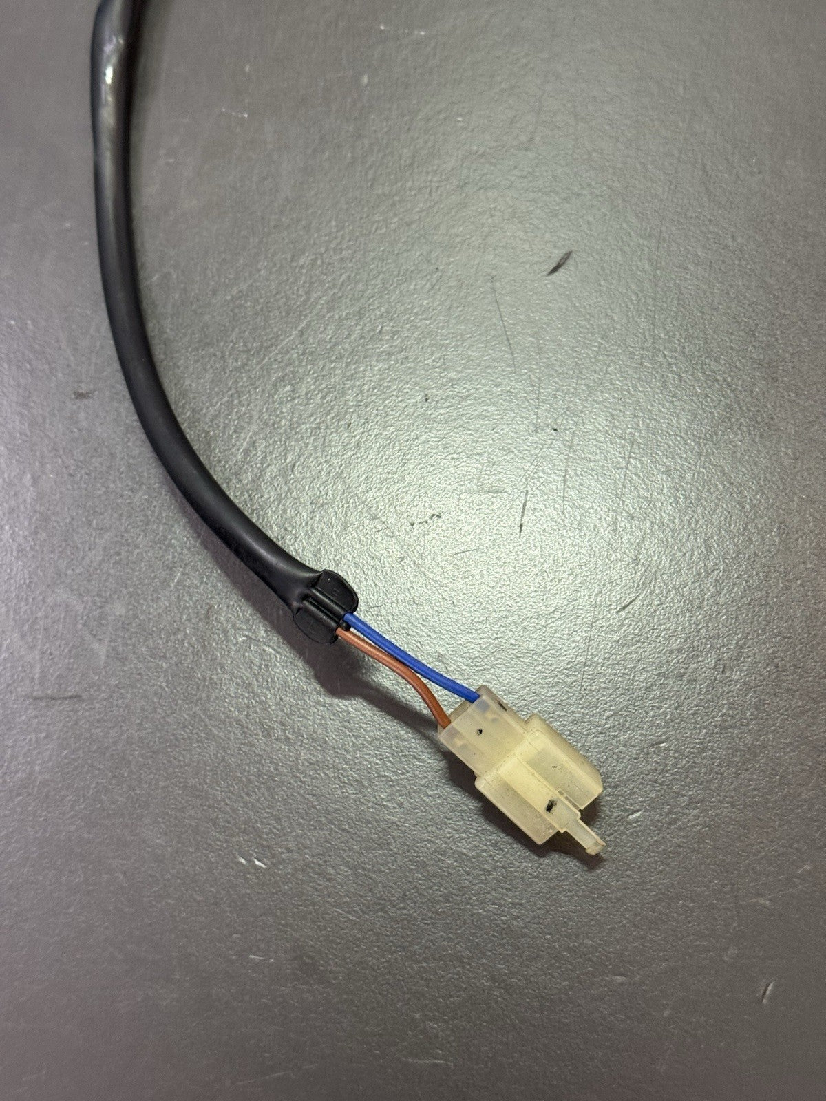 67b5ff36-668f-45fe-9d95-70d95e4652d3