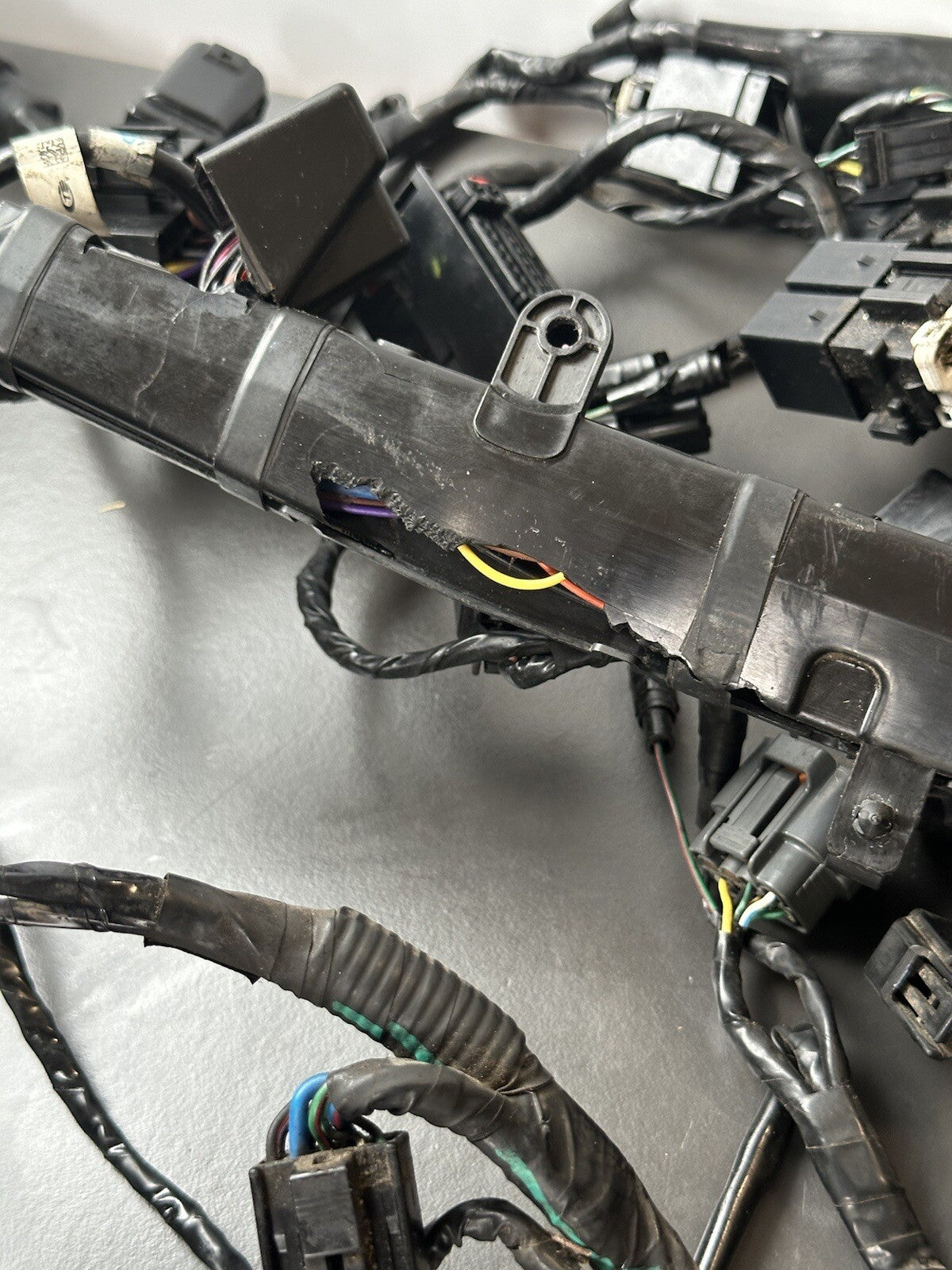 TRIUMPH STREET TRIPLE 675 ABS 2013 - 2016 WIRING LOOM HARNESS Engine Loom 12,409