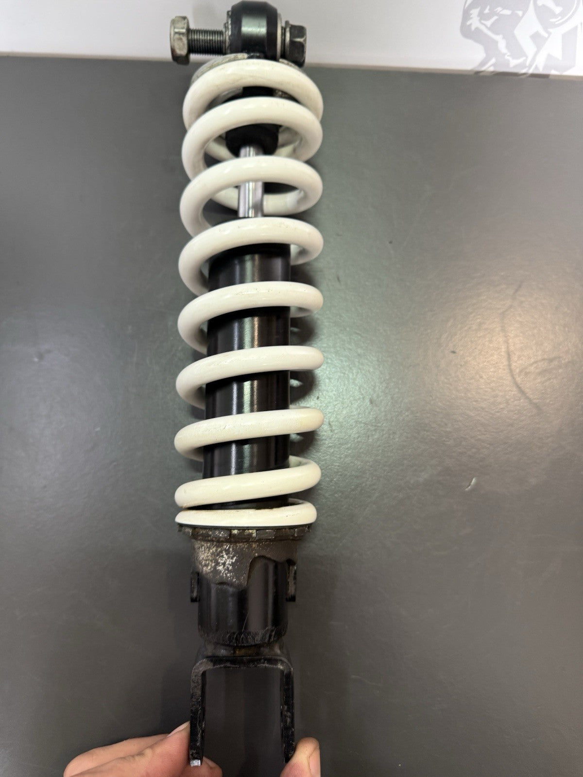 f7beb8c6-3dc2-4ccc-b8c2-c0588189f9b2