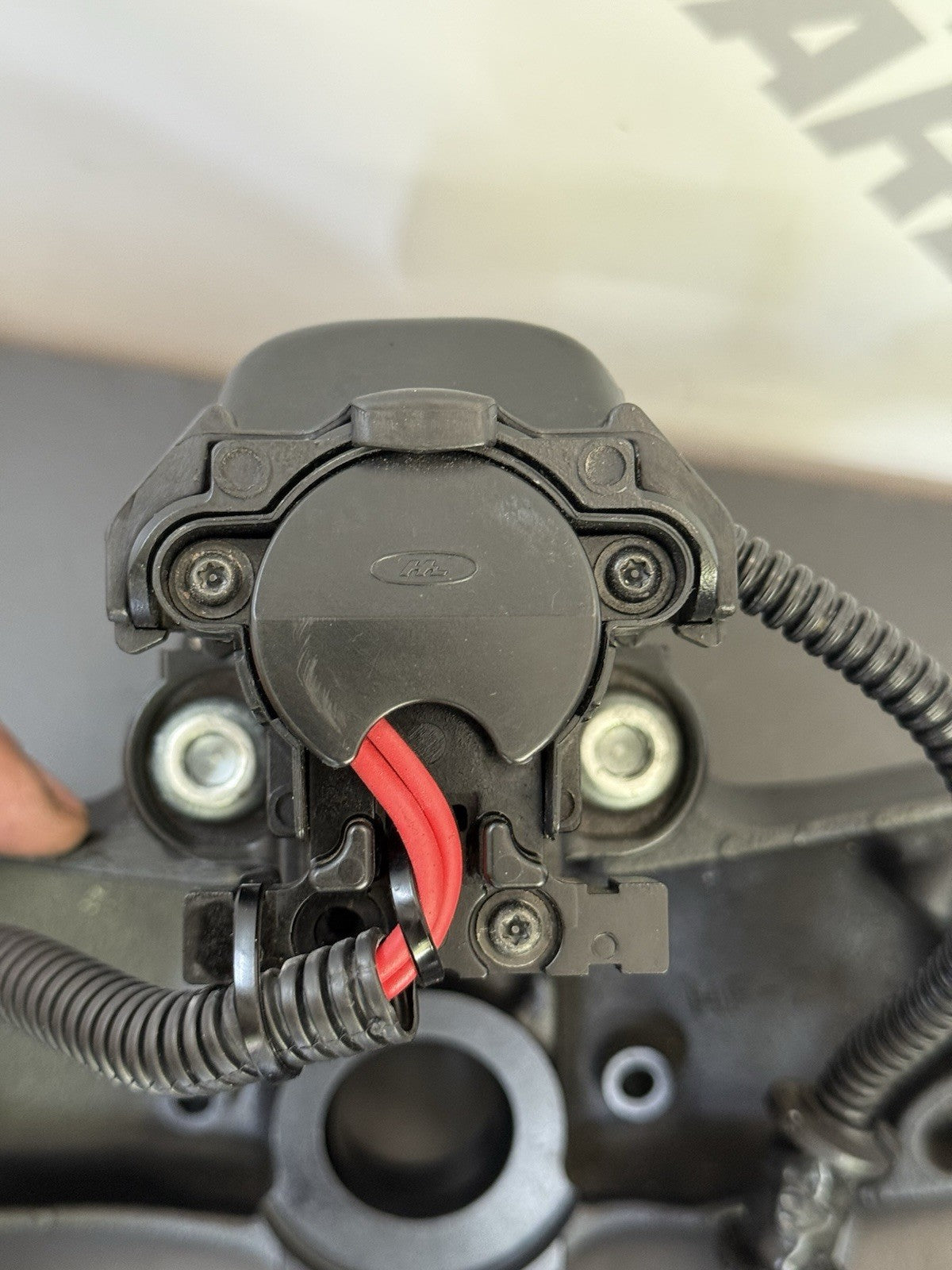 d5e3fb91-0174-4627-80c3-80b65ddbe672