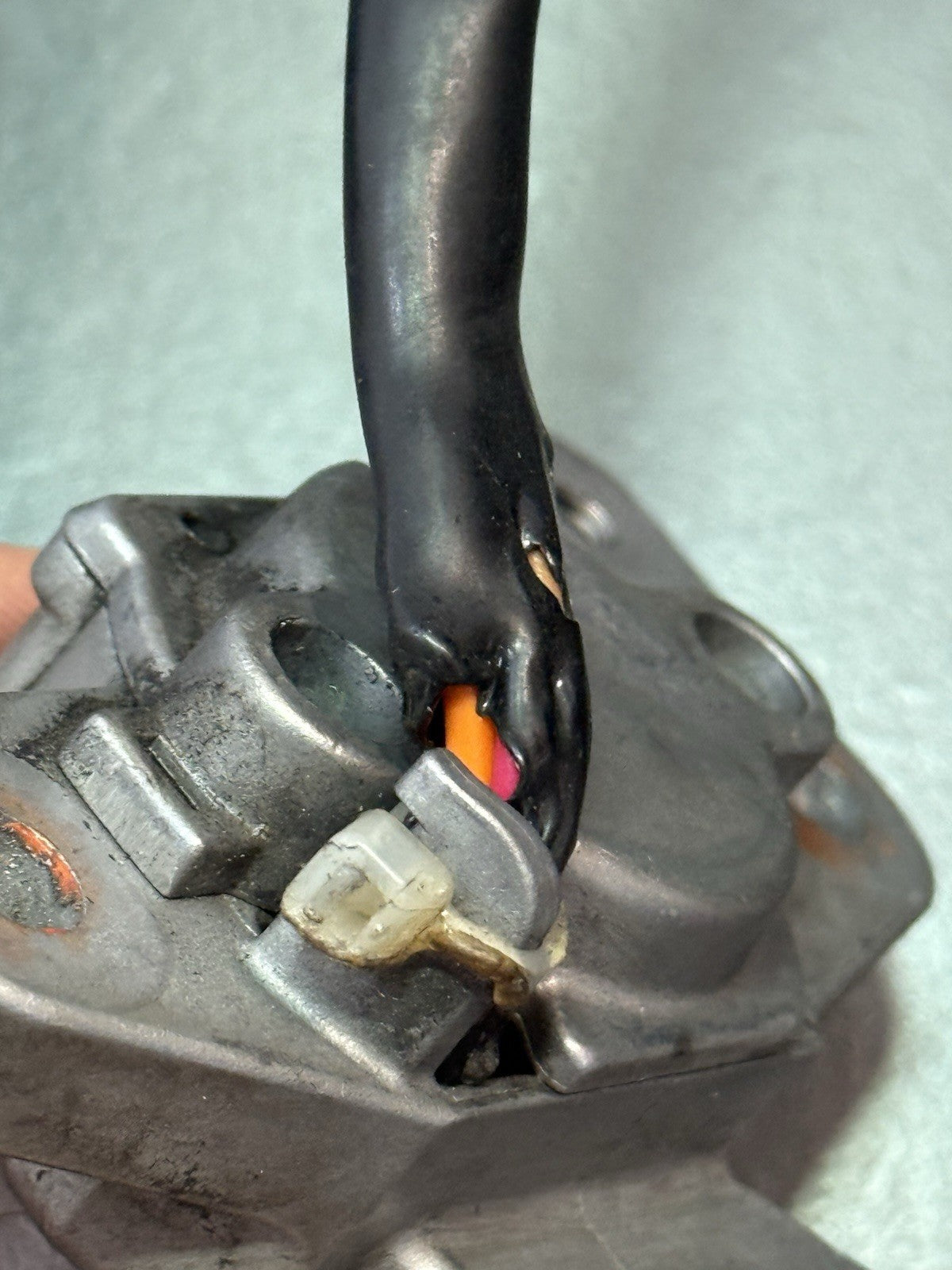 8e6f401d-56c3-4f16-90ea-f1fb78a148e9