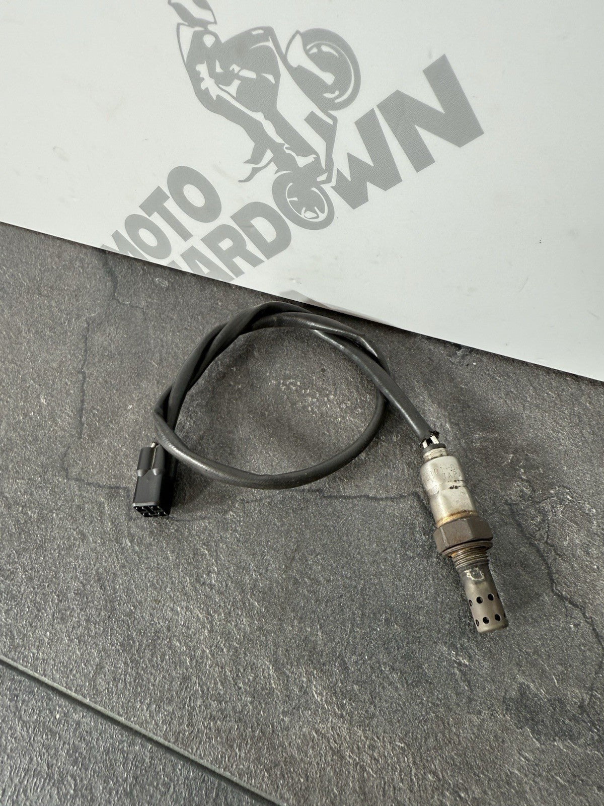 11381c3b-3319-4a8e-80bd-03dc01cfeb24