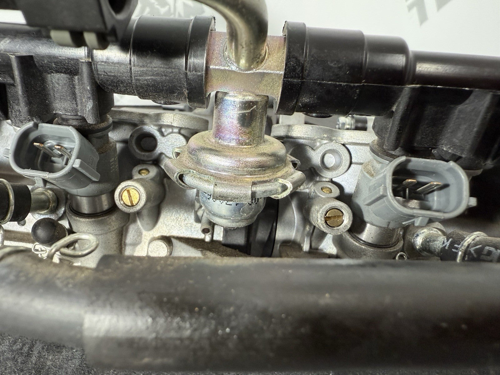 52ff0cce-9aaa-448d-ab30-c9d1974d542f