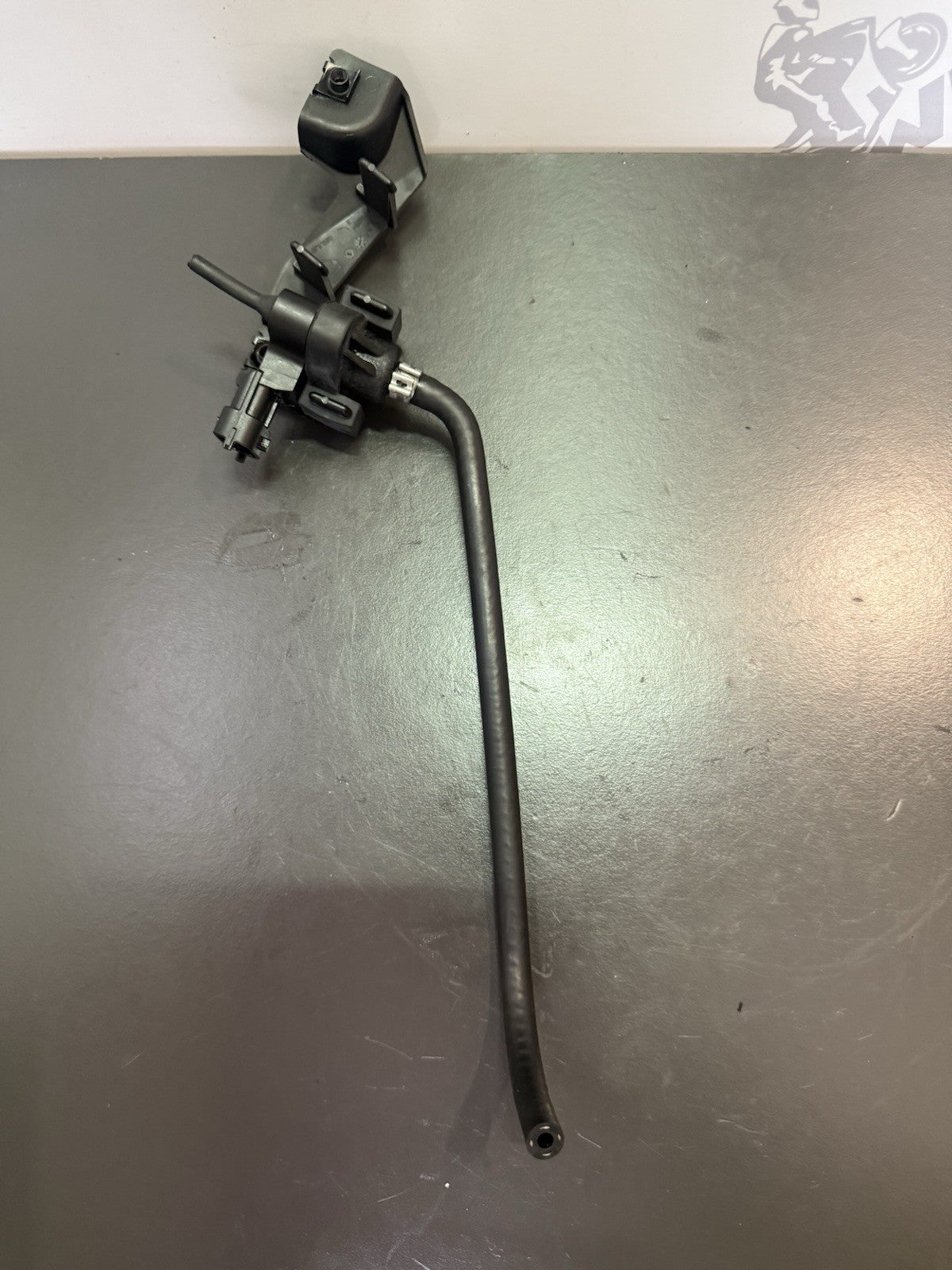 a123e6f8-1529-42db-95d2-1a2f44e66850