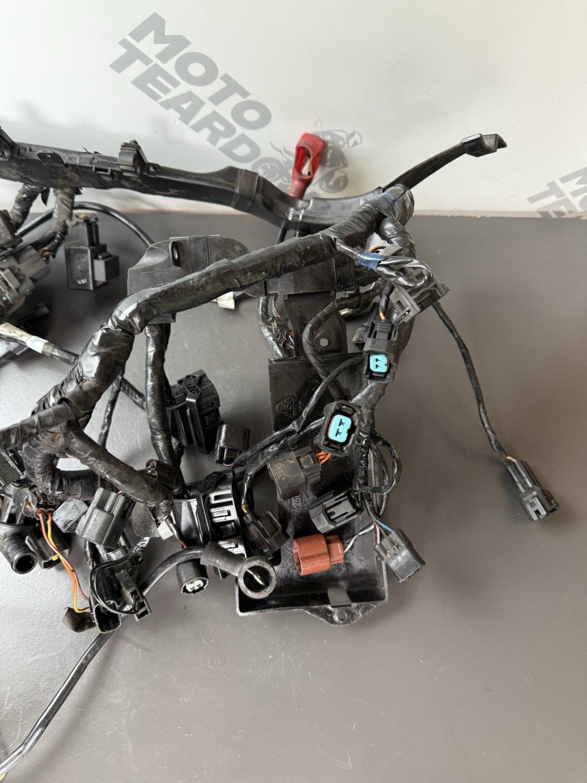 TRIUMPH STREET TRIPLE 675R WIRING LOOM Engine Wiring Loom 2013-2016