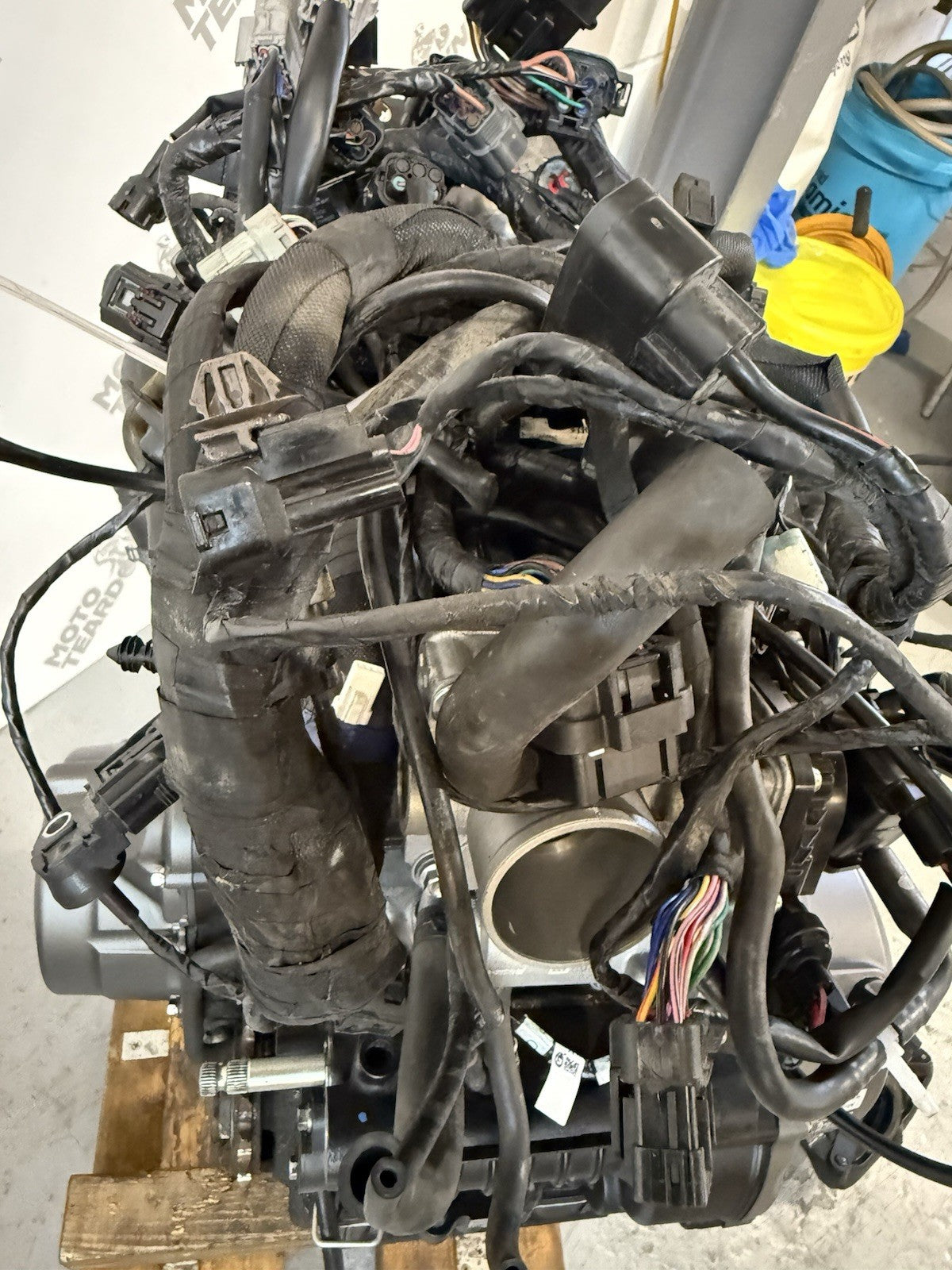 TRIUMPH TRIDENT 660 Engine 2021-2023 Trident 660 Engine, Loom, Throttle Bodies