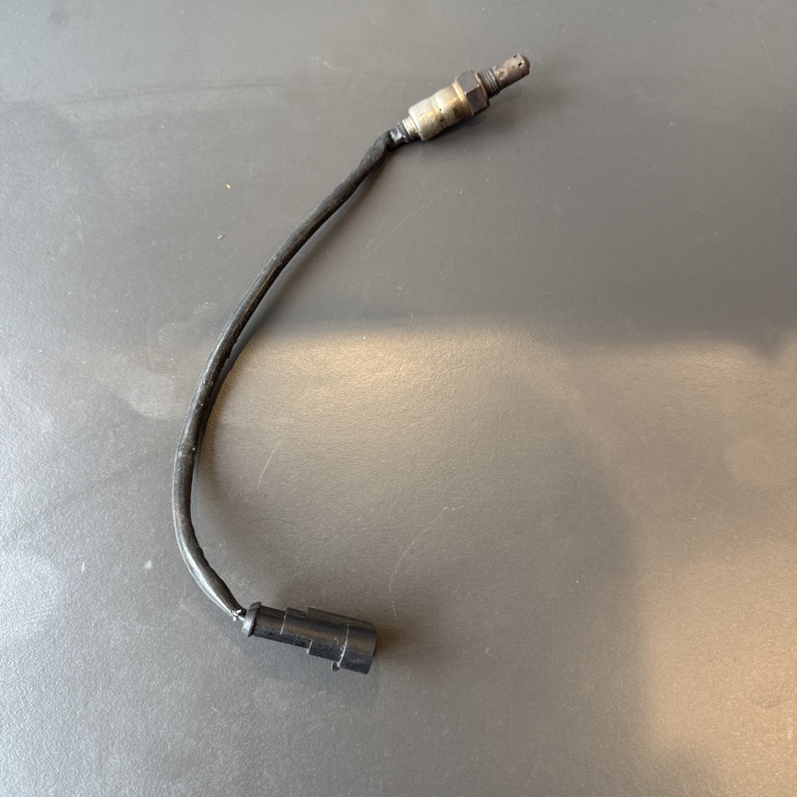 6ed48dc1-751a-4ba4-950b-9d7acb3efaee