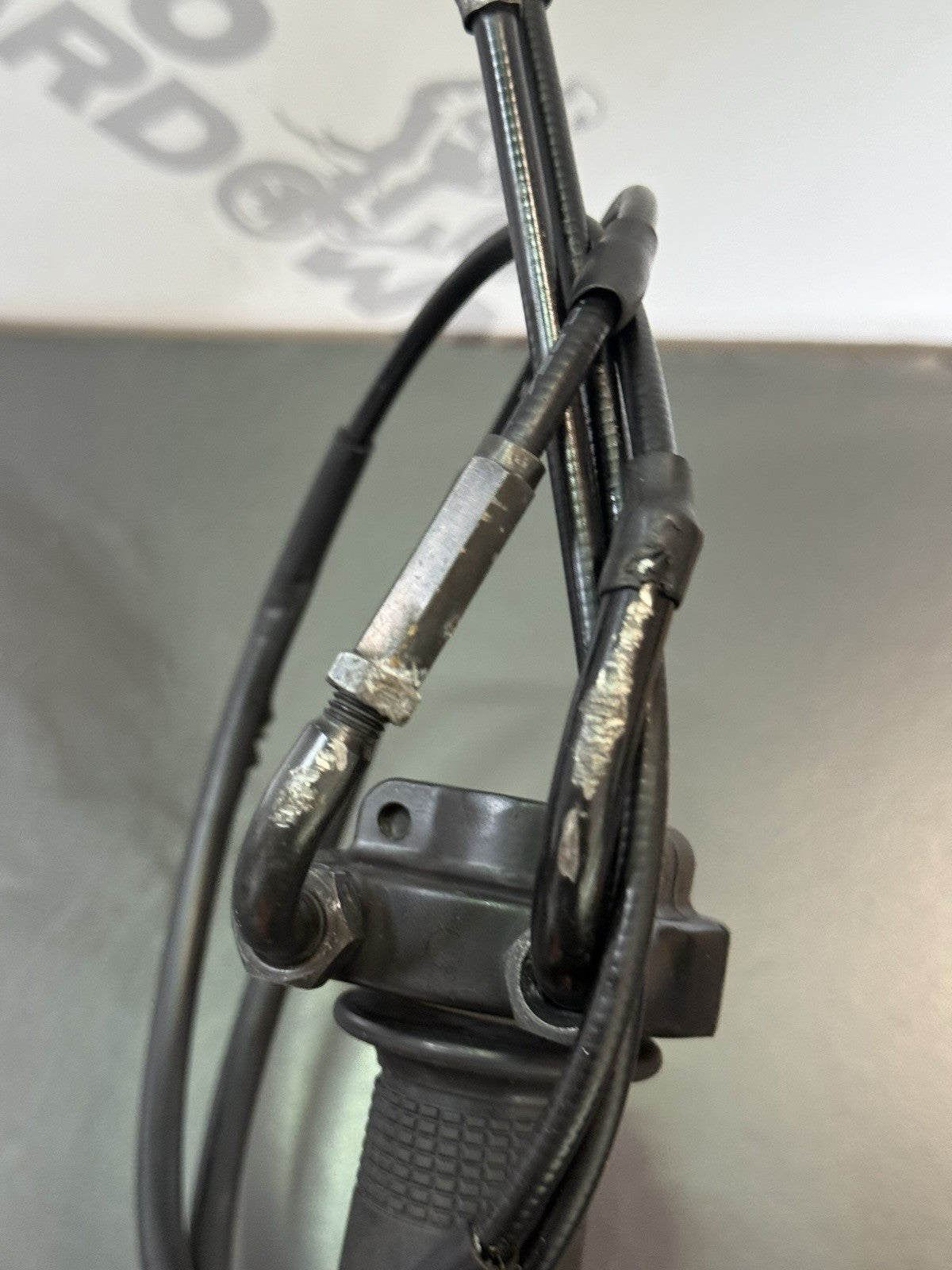 3ac5fd36-d881-4c64-b174-e2cd556e5cb9