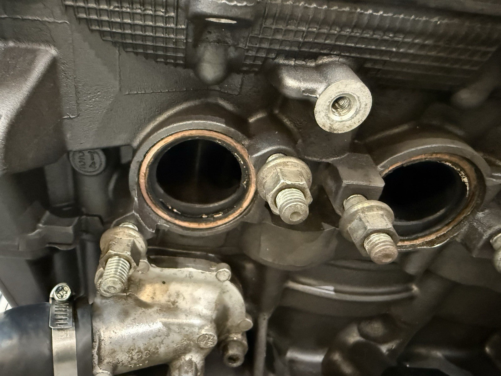 baa38cea-f87f-47c4-8fe2-eb105a0edb66