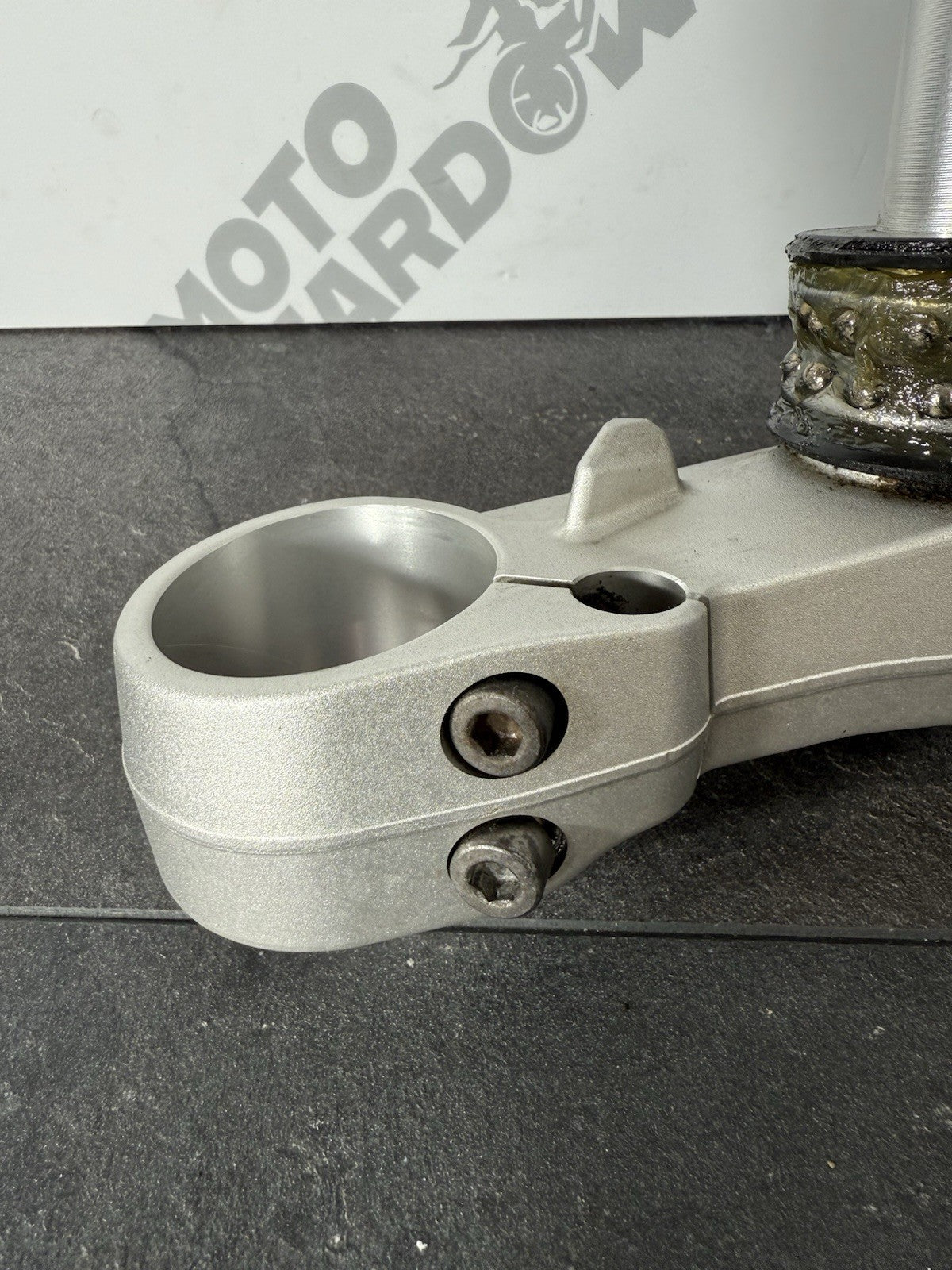 354fa276-813b-44c9-bb85-28320fa4de1b