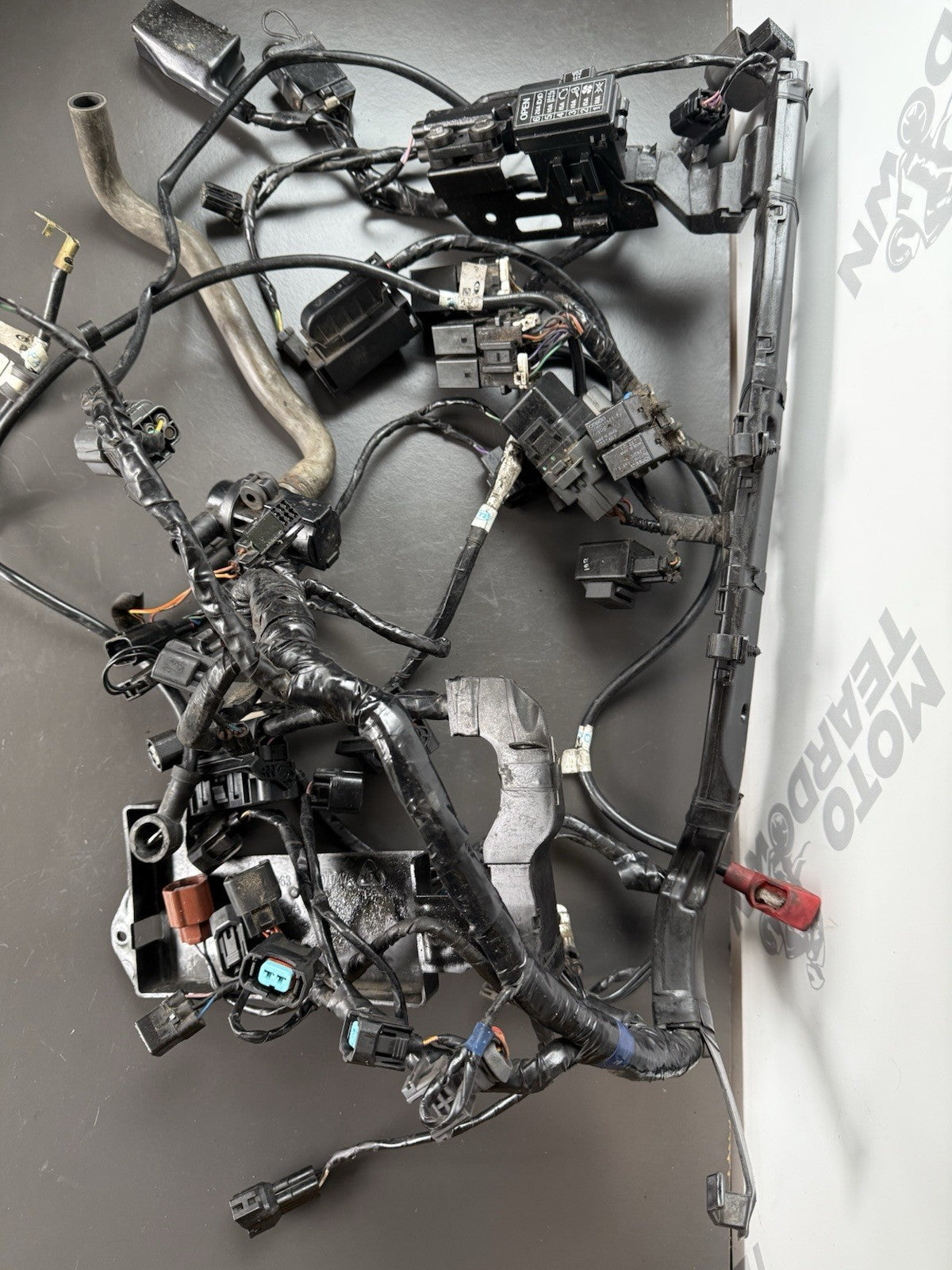 TRIUMPH STREET TRIPLE 675R WIRING LOOM Engine Wiring Loom 2013-2016