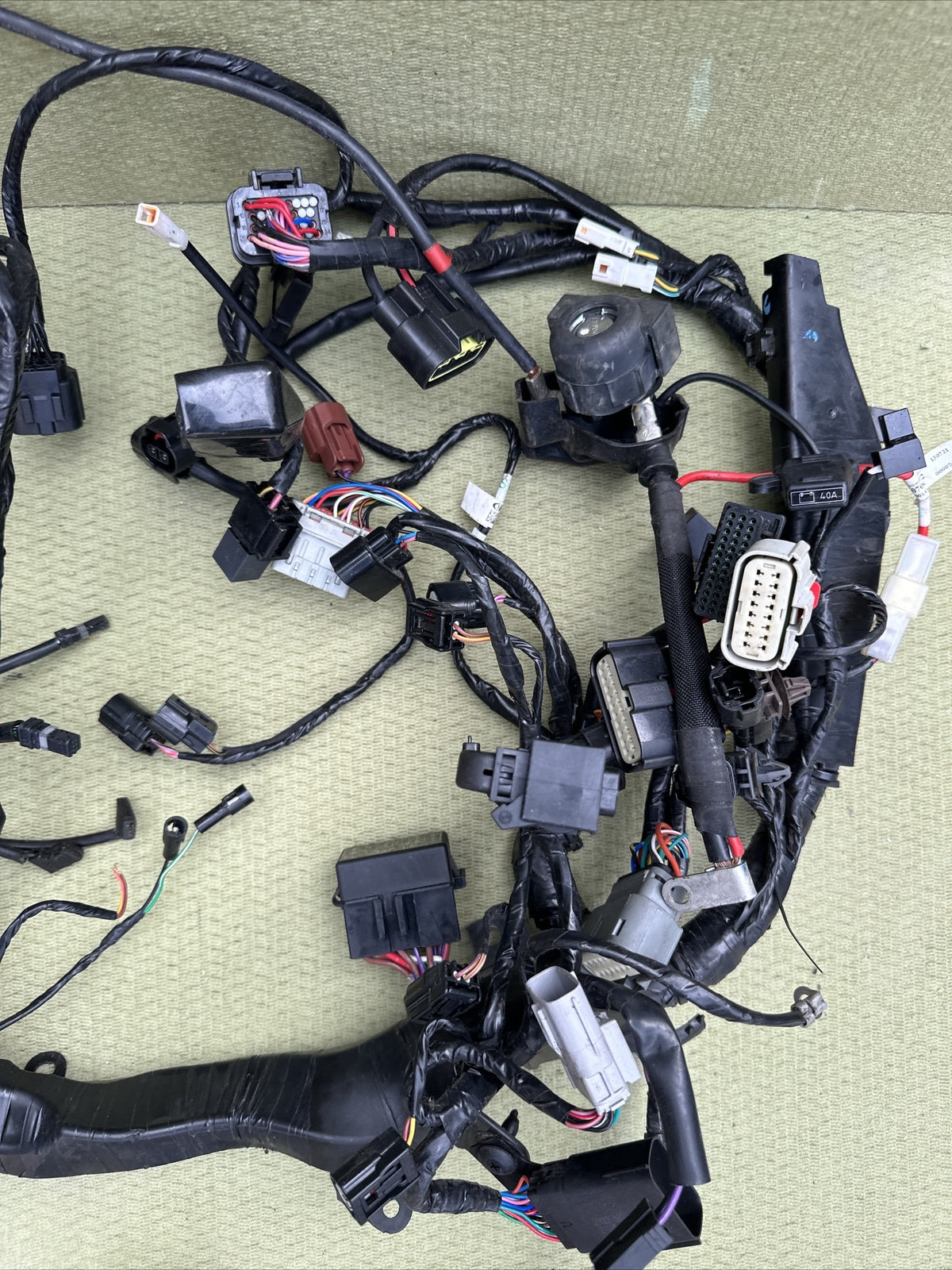 Triumph Speed Triple 1200 RR Main Wire Harness Wires Wiring Loom Full Loom 2022