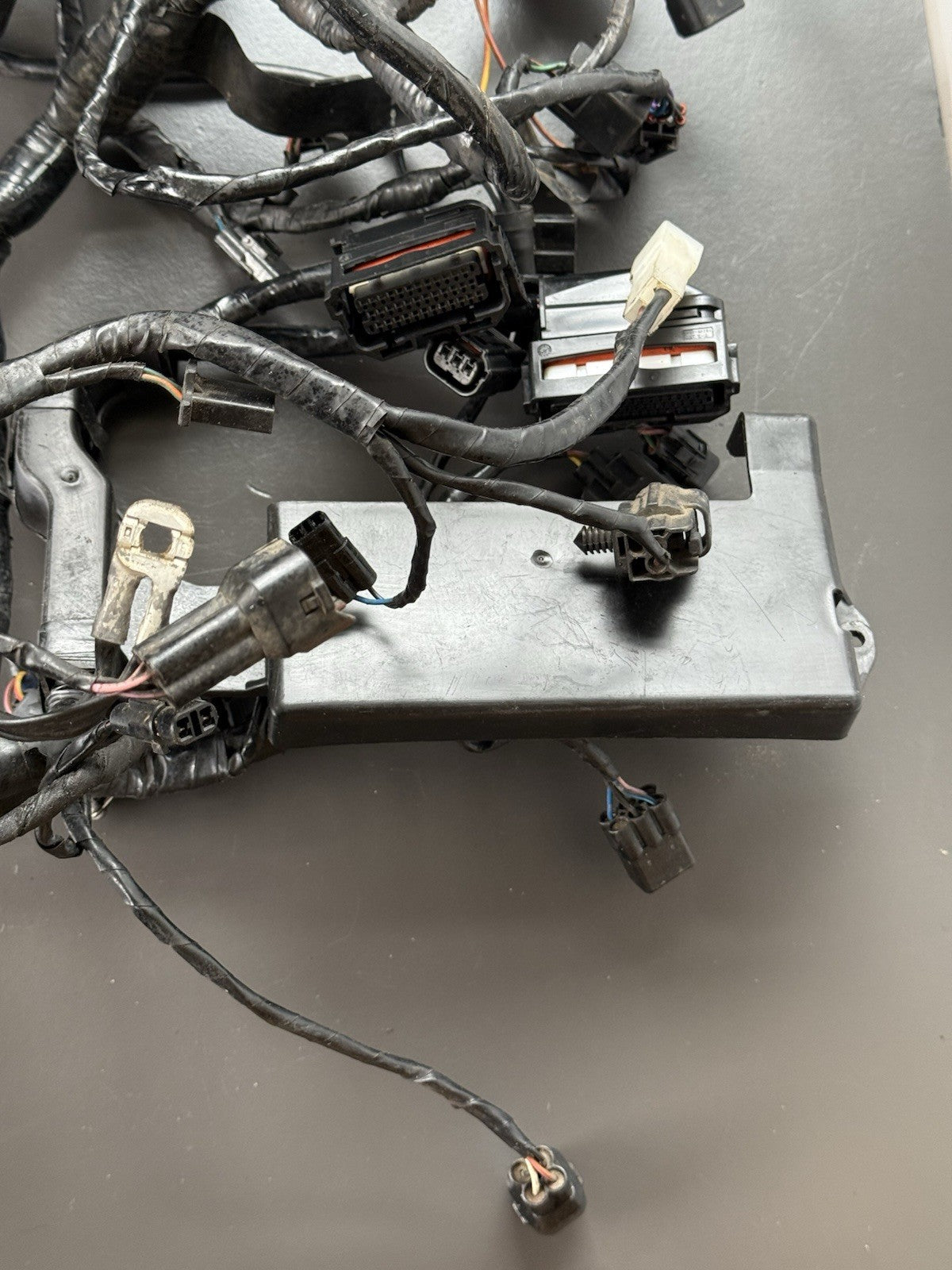 TRIUMPH STREET TRIPLE 675R WIRING LOOM Engine Wiring Loom 2013-2016