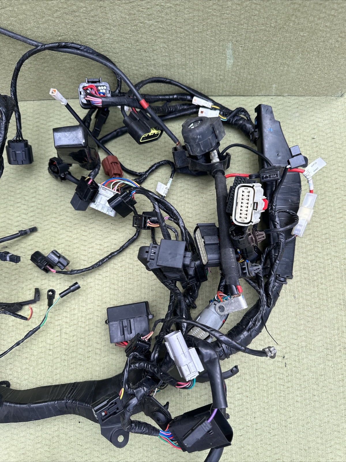 Triumph Speed Triple 1200 RR Main Wire Harness Wires Wiring Loom Full Loom 2022