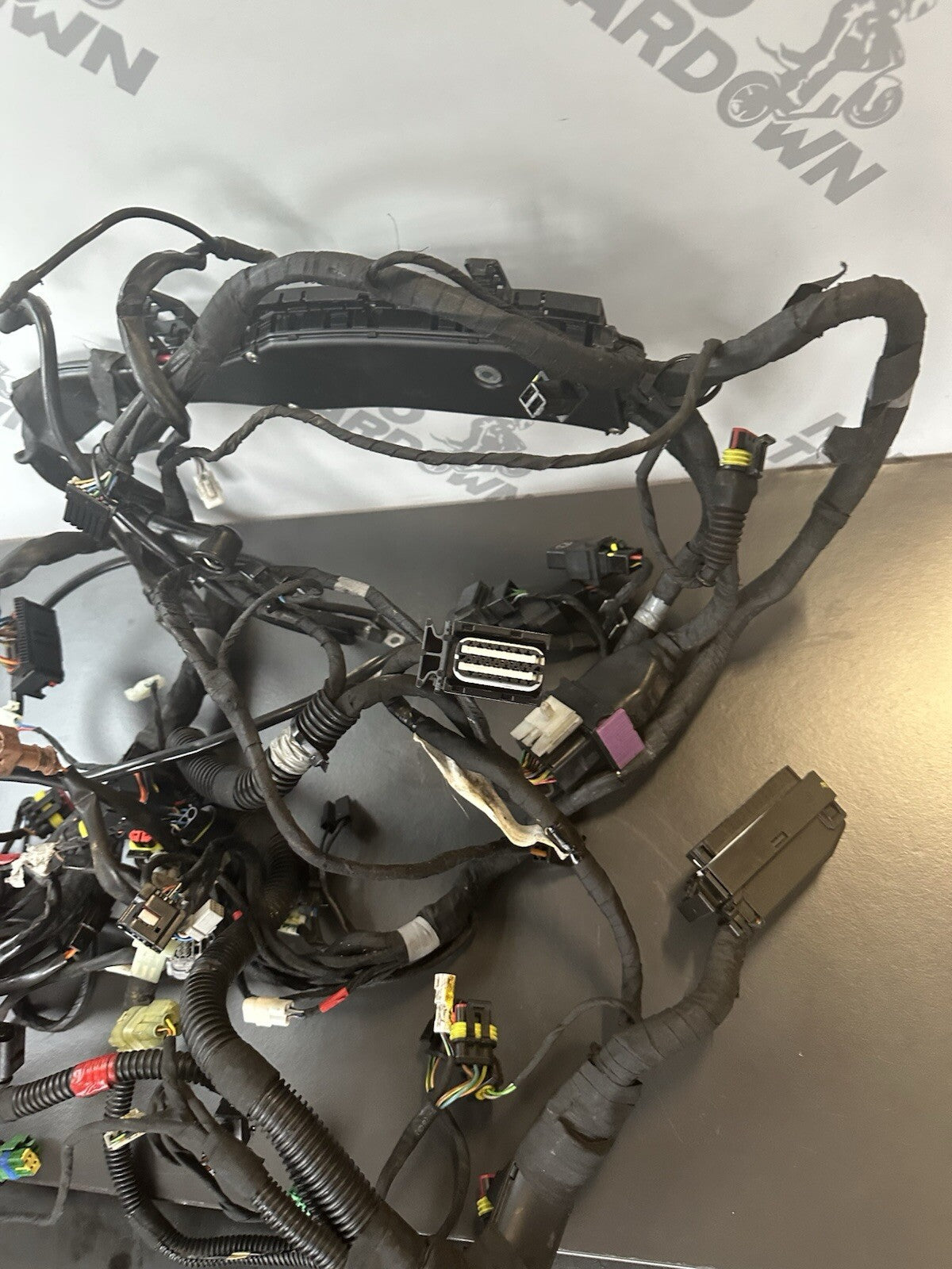 Aprilia Tuono V4 1100 Factory 2017- Engine wiring loom Complete harness 2D000304