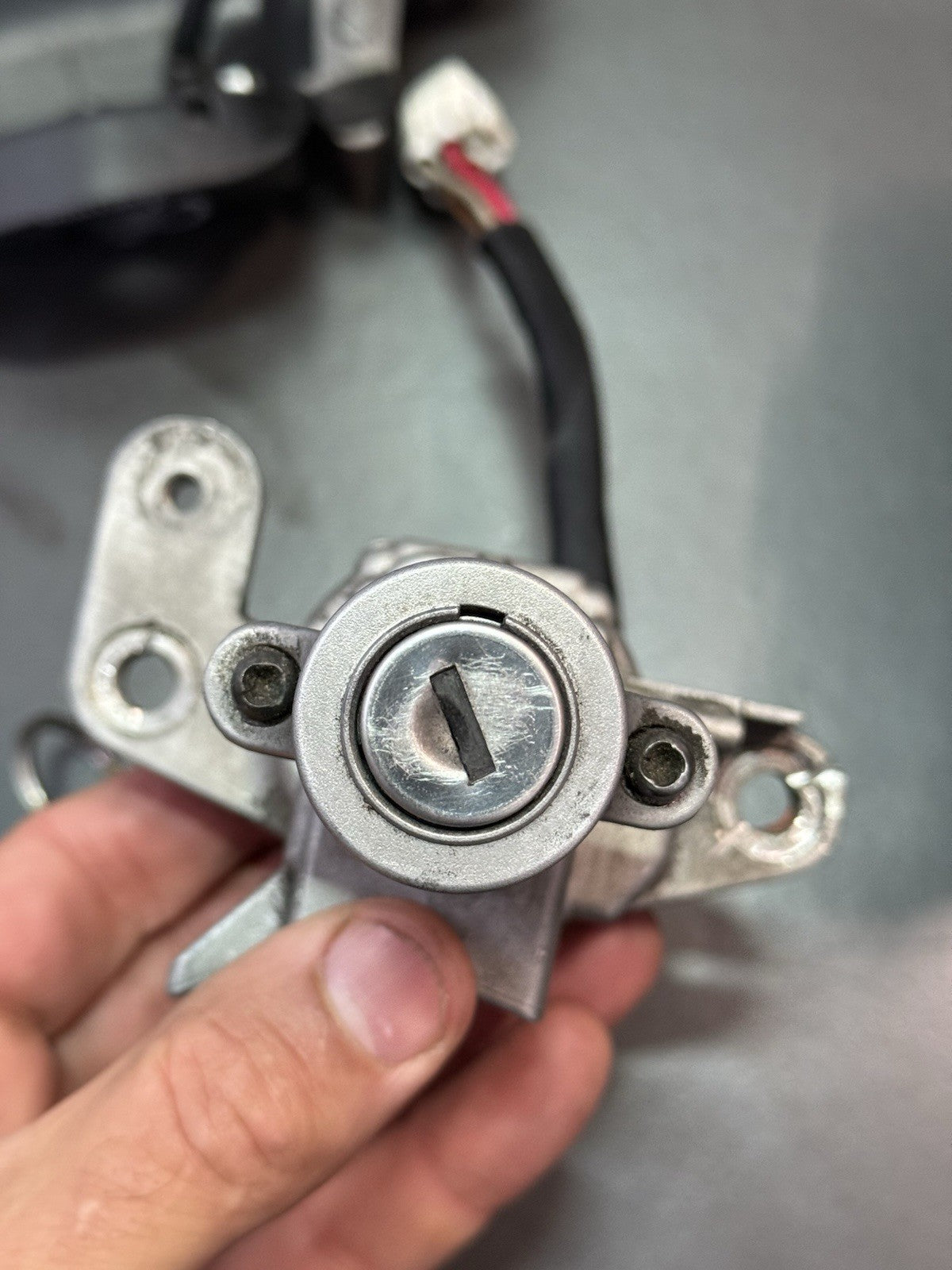 ba917317-337c-4ed6-93d4-59e04a461d1b