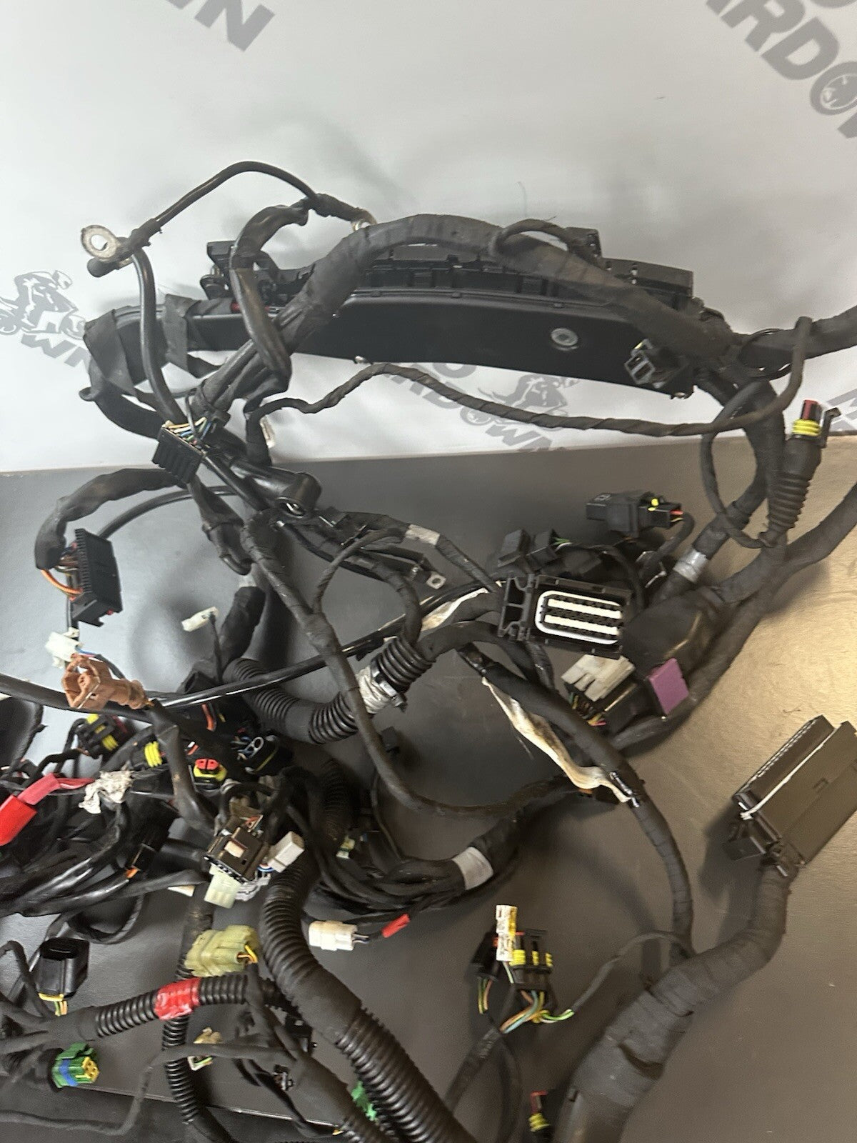 Aprilia Tuono V4 1100 Factory 2017- Engine wiring loom Complete harness 2D000304