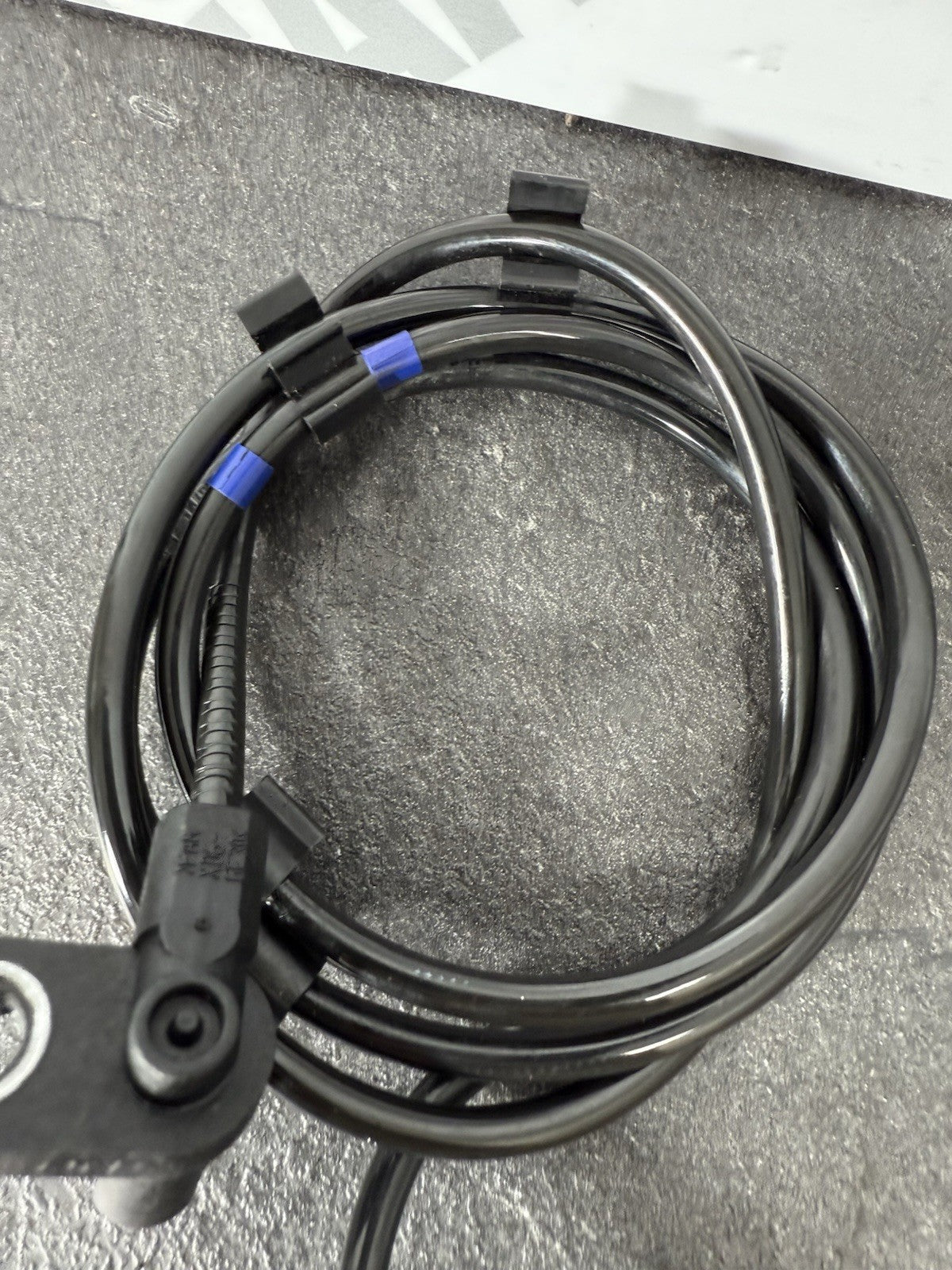 59ca2bed-4c8a-474d-9aaf-ee8cf5b4faea