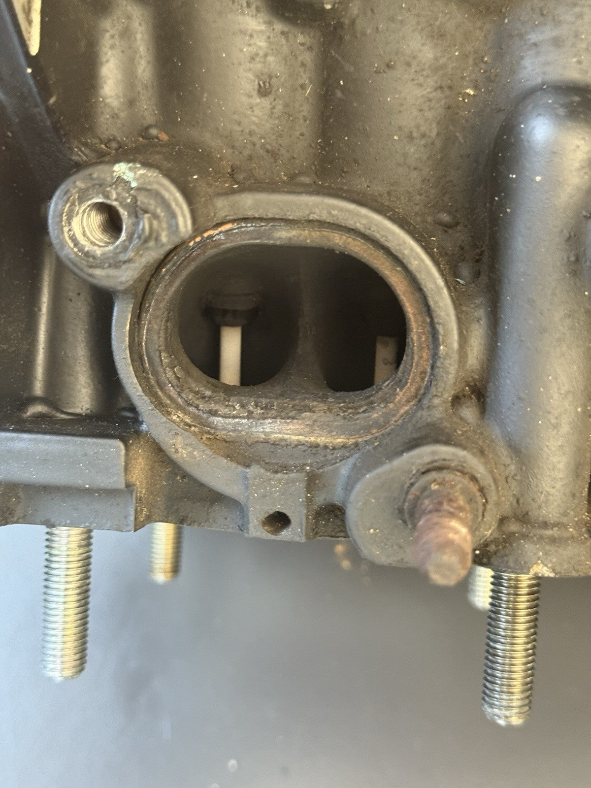 1f5c3581-f9c9-4b84-b8c3-f6e612507eac