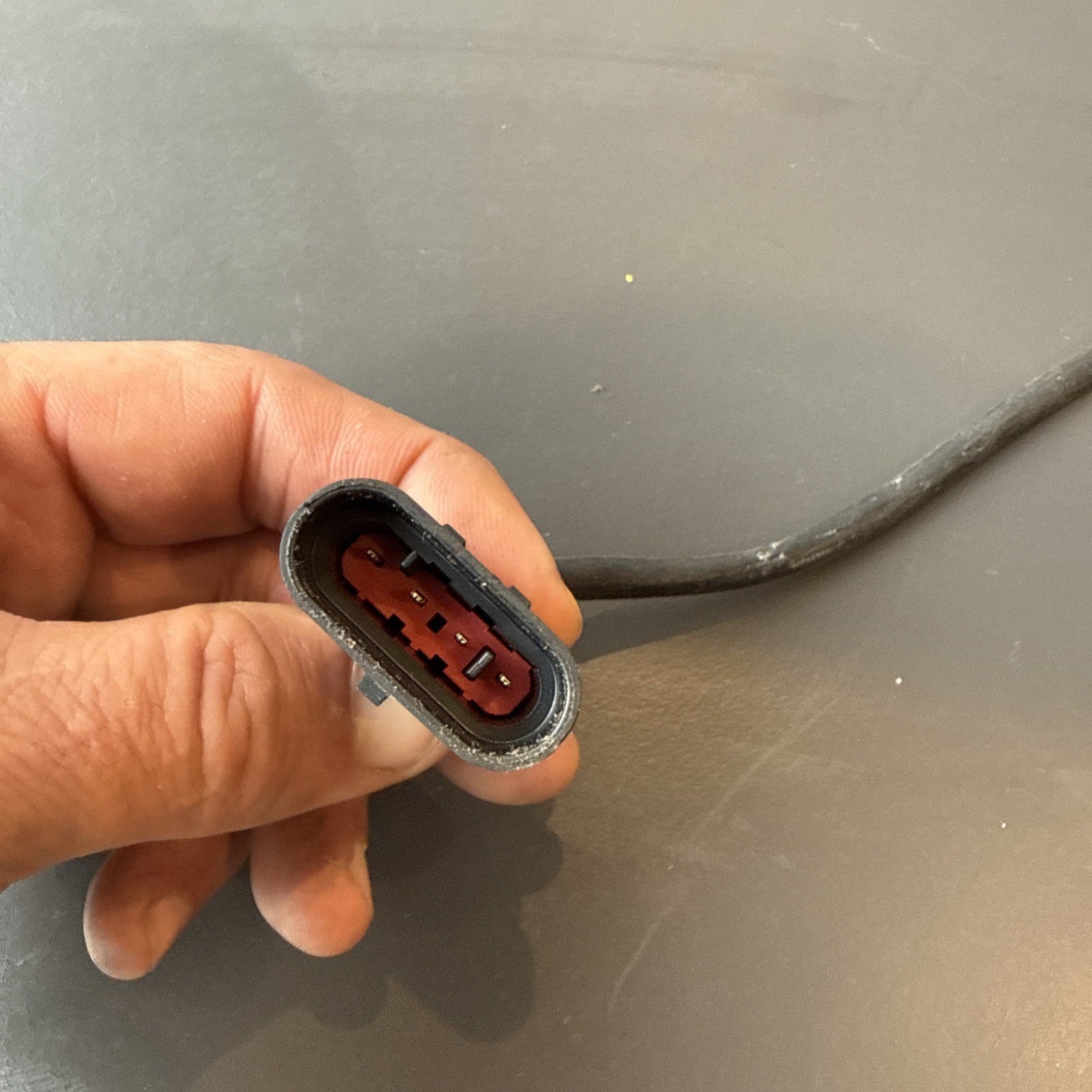 7eaabac7-3501-4d6c-a774-8bb1bec5e27e