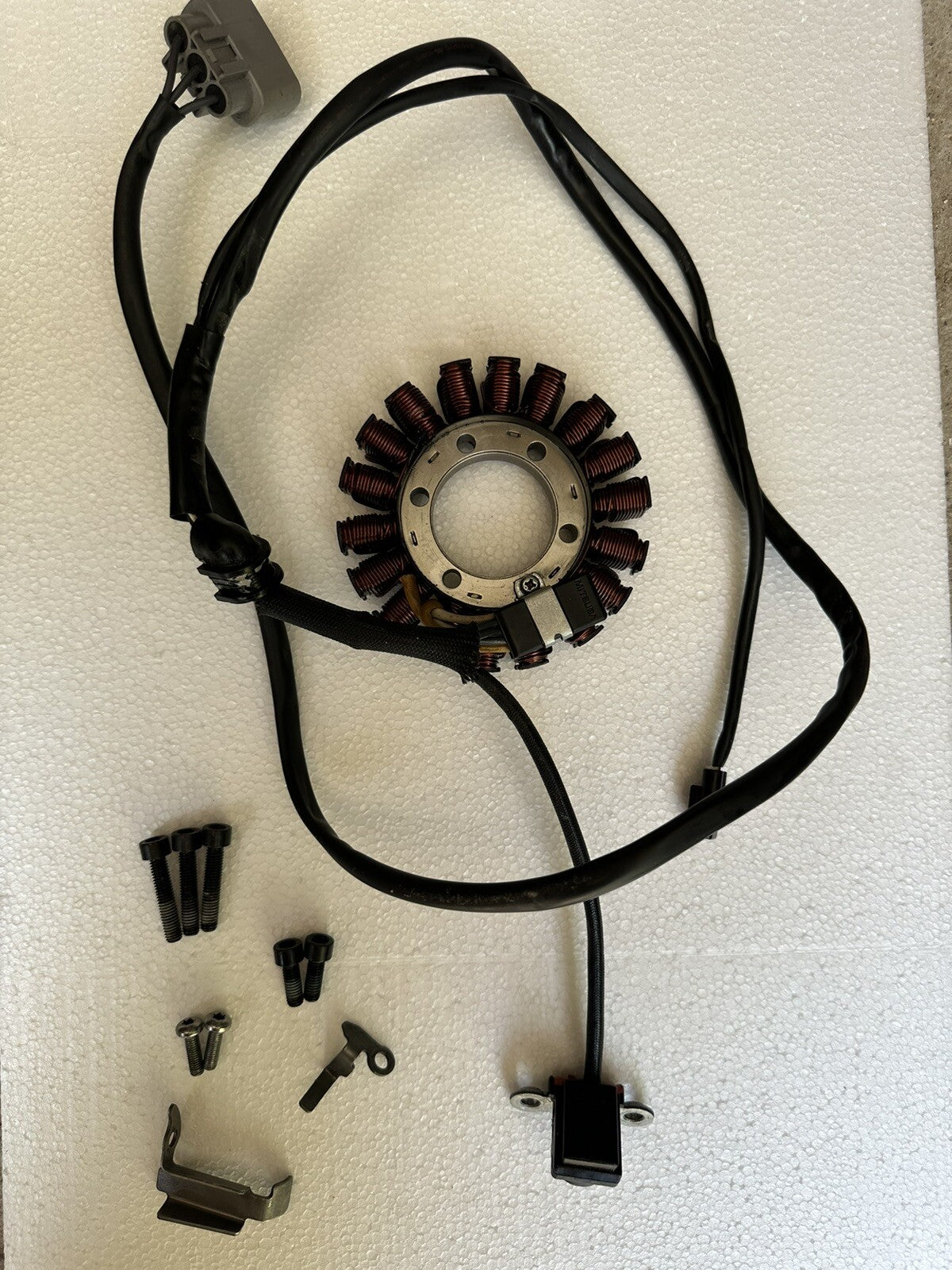 Triumph Speed Triple 1200RR Alternator generator alternator stator 1200RR 2022