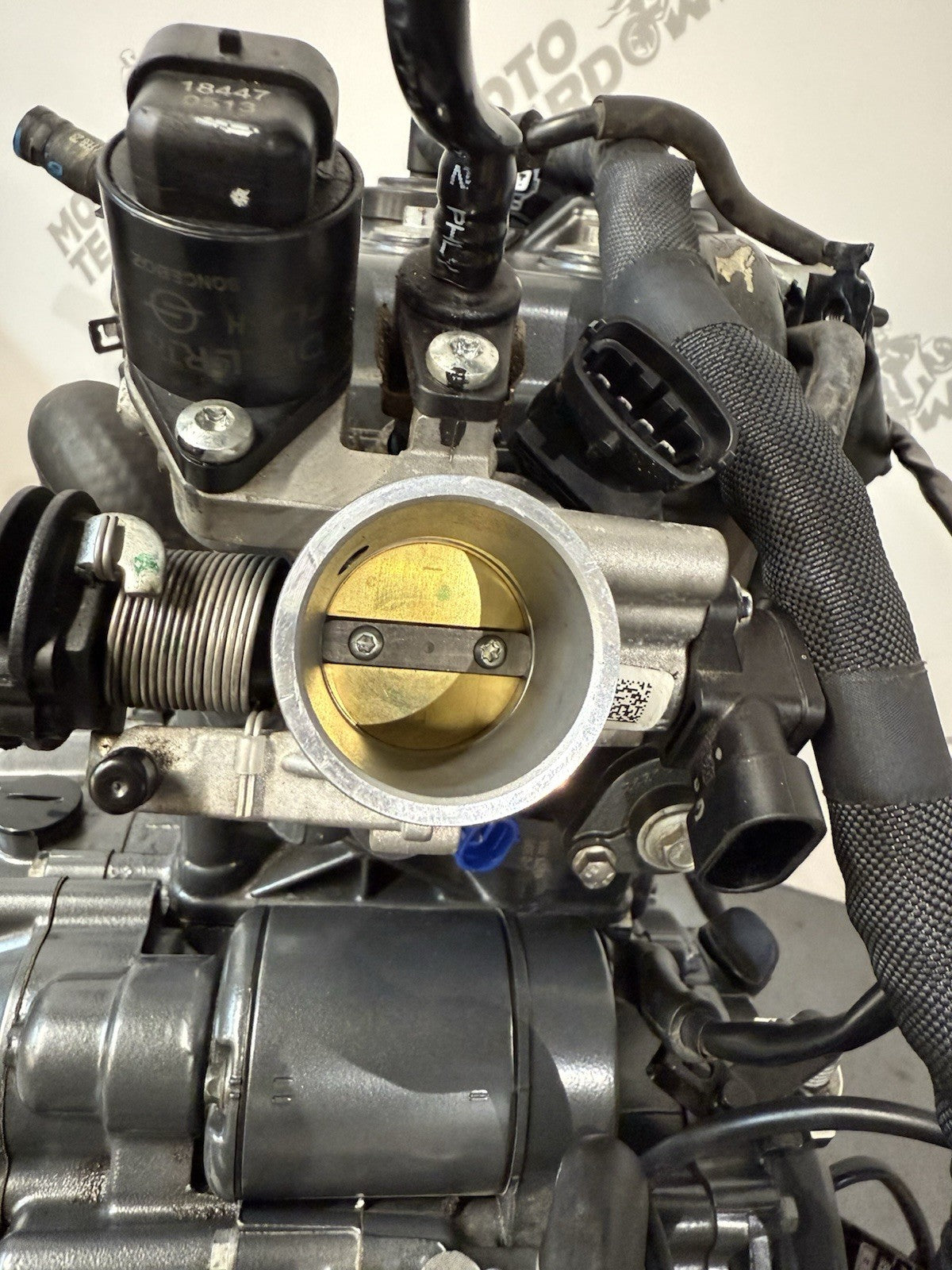 a996e76d-5ba2-4293-b3e7-19b446853f17