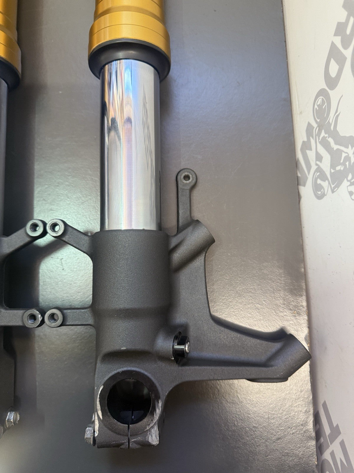 917d835b-c18d-4c1a-a4c4-8dad93e7600d