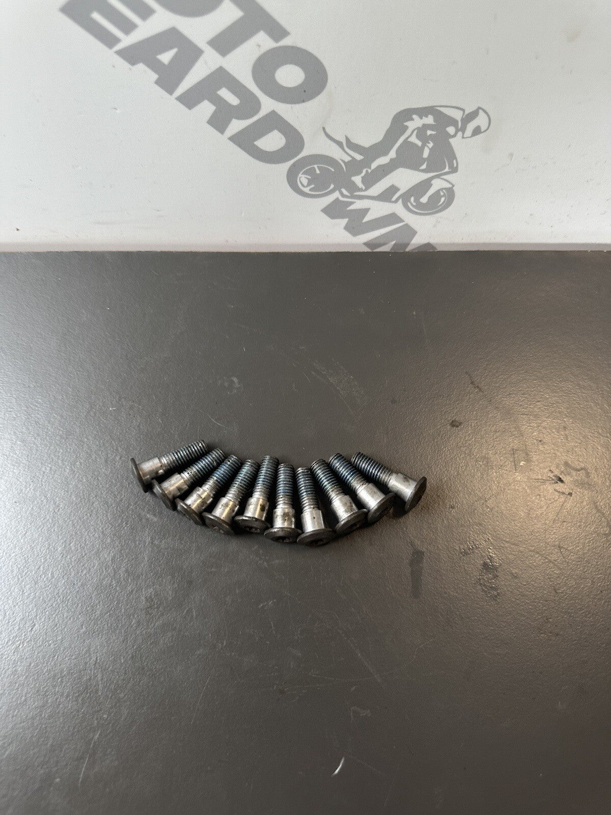 Triumph Speed Triple 1050 Brake Disc Bolts Front 2011 to 2015