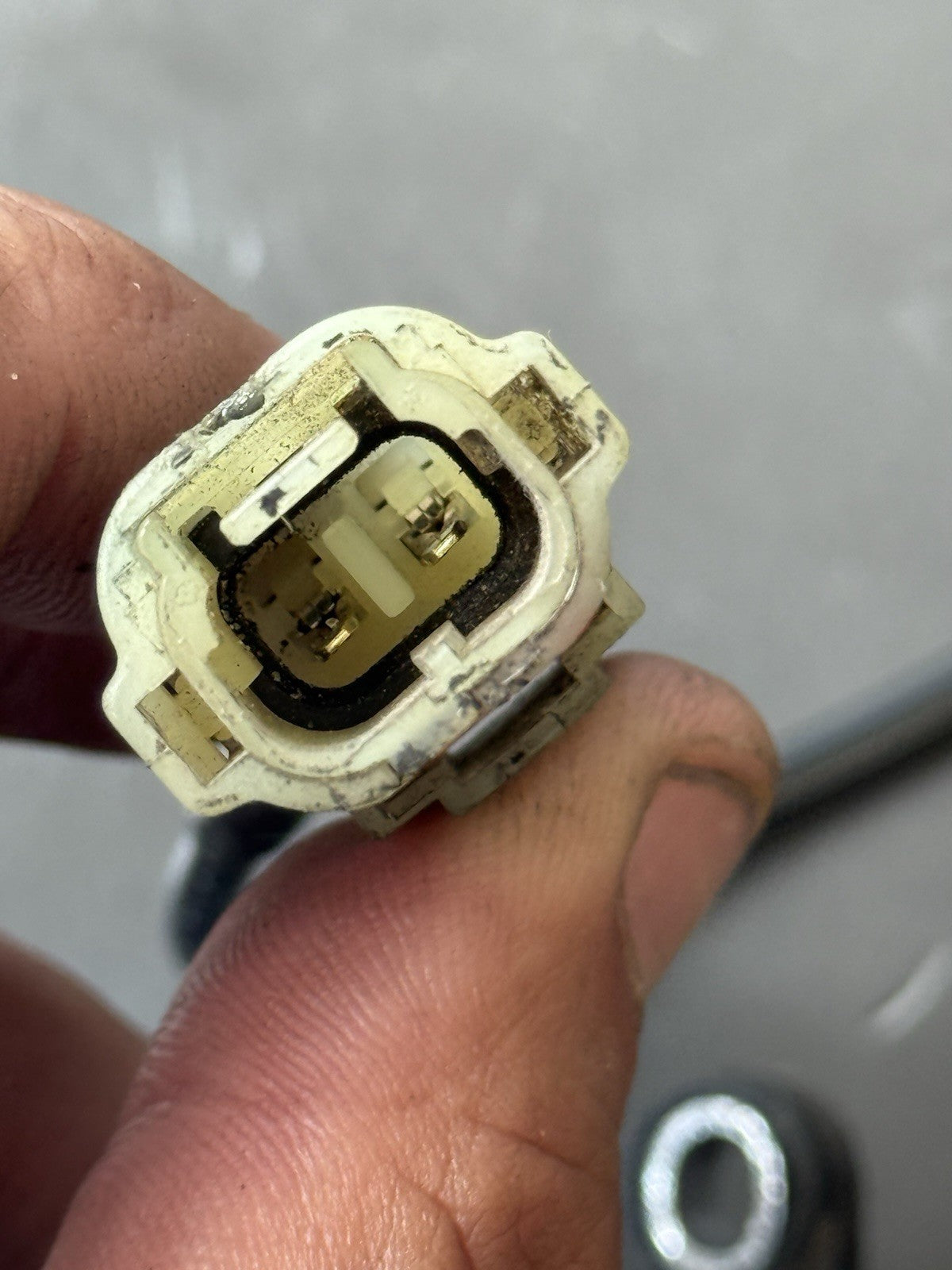 Triumph Trident 660 Rear ABS sensor Genuine OEM 2021 - 2023 660 Rear ABS sensor