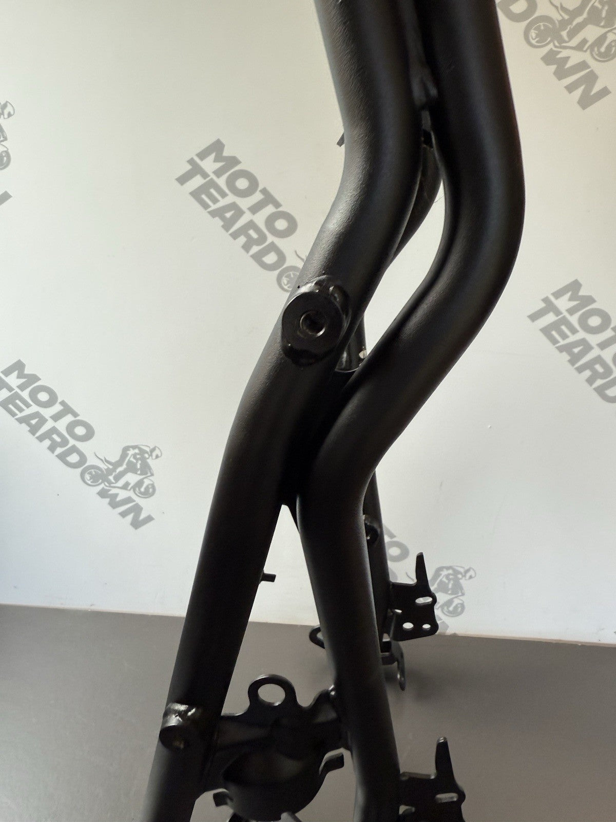 Triumph Trident 660 Rear Frame Rear Chassis Rear Subframe CUSTOM PROJECT BUILD
