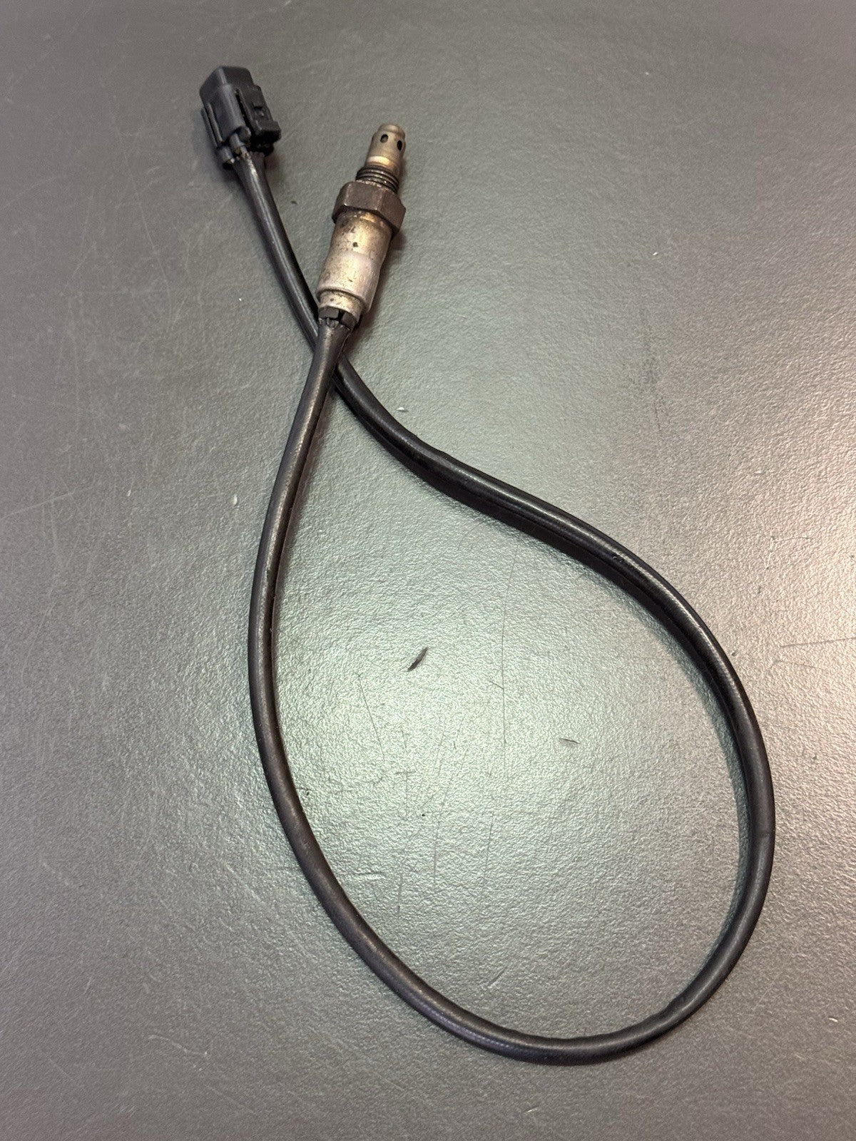 07b6bd59-d71a-4b0d-9d93-fb03f401a289