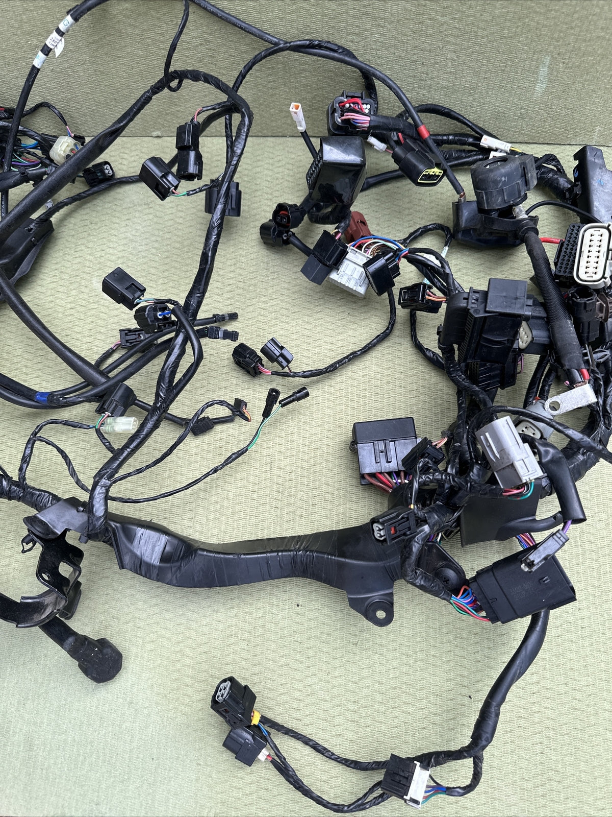 Triumph Speed Triple 1200 RR Main Wire Harness Wires Wiring Loom Full Loom 2022