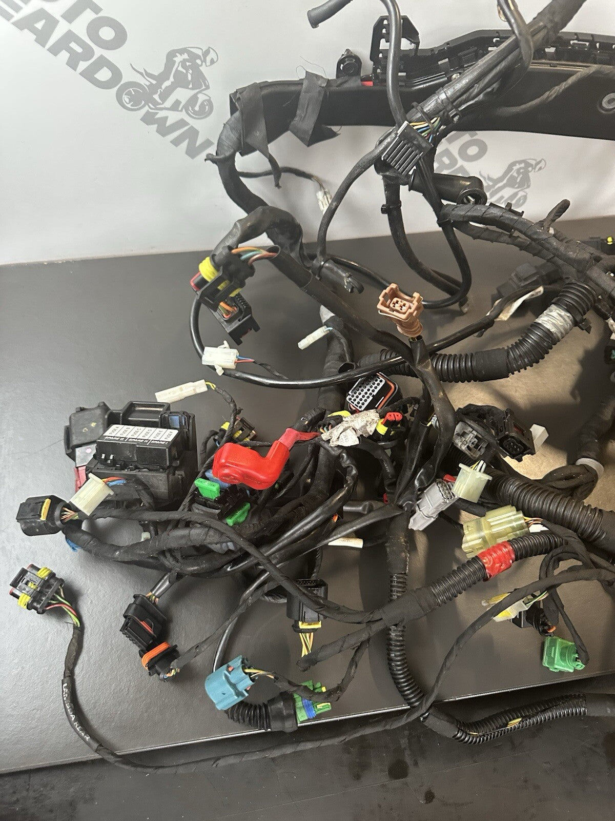 Aprilia Tuono V4 1100 Factory 2017- Engine wiring loom Complete harness 2D000304