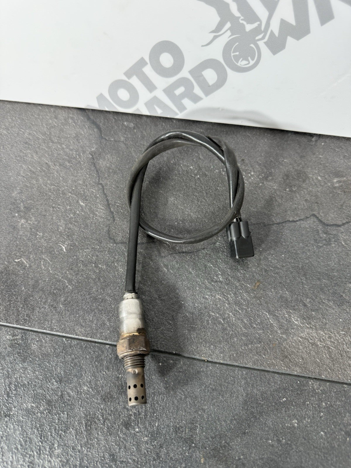 ae12c976-796c-40fd-aaae-f27162cb37e9