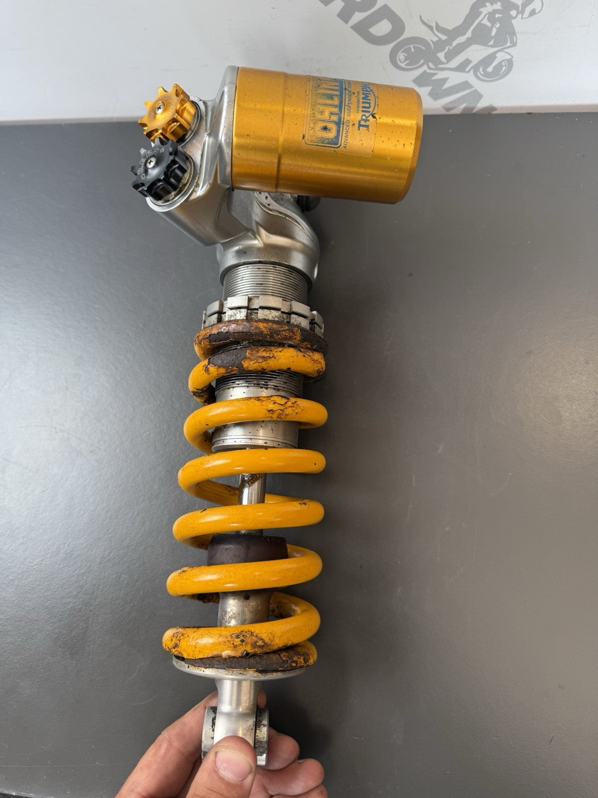 TRIUMPH STREET TRIPLE 675R OHLINS REAR SHOCK ABSORBER 675R OHLINS REAR SHOCK