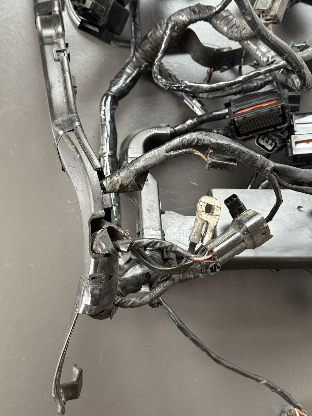 TRIUMPH STREET TRIPLE 675R WIRING LOOM Engine Wiring Loom 2013-2016