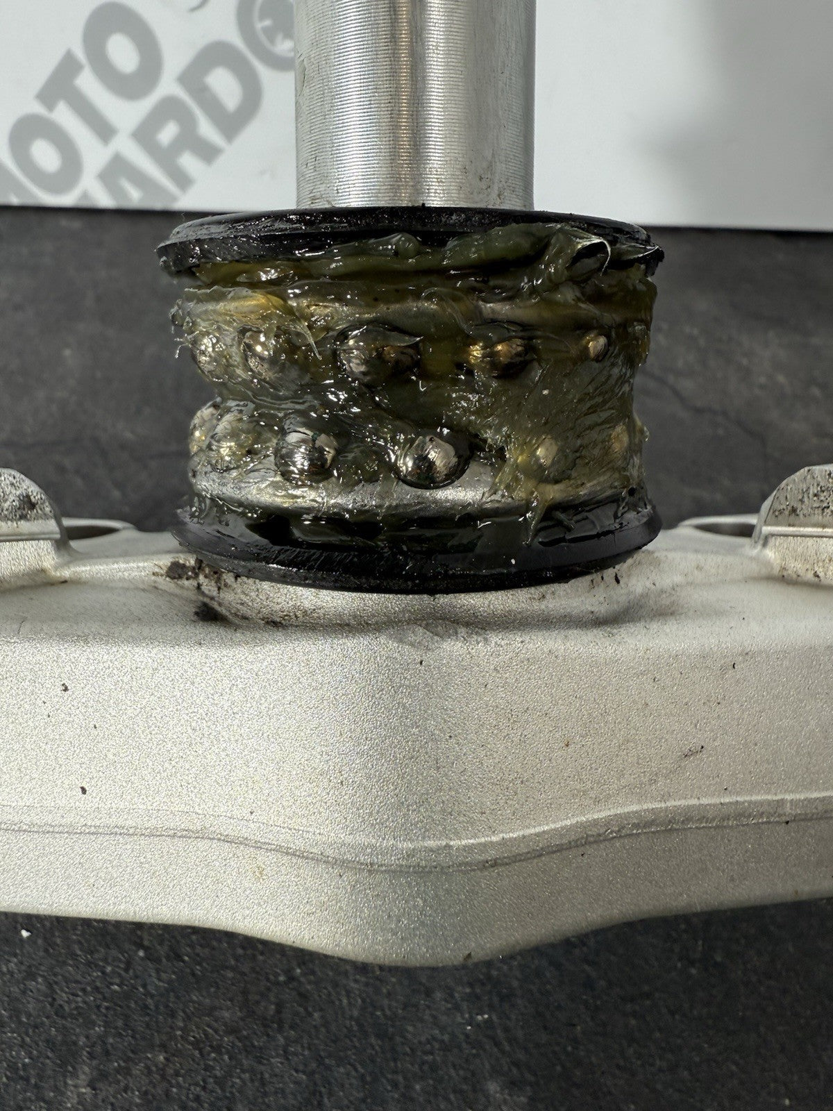 3b2d8097-183e-485e-8cdc-fd08c7106f4c