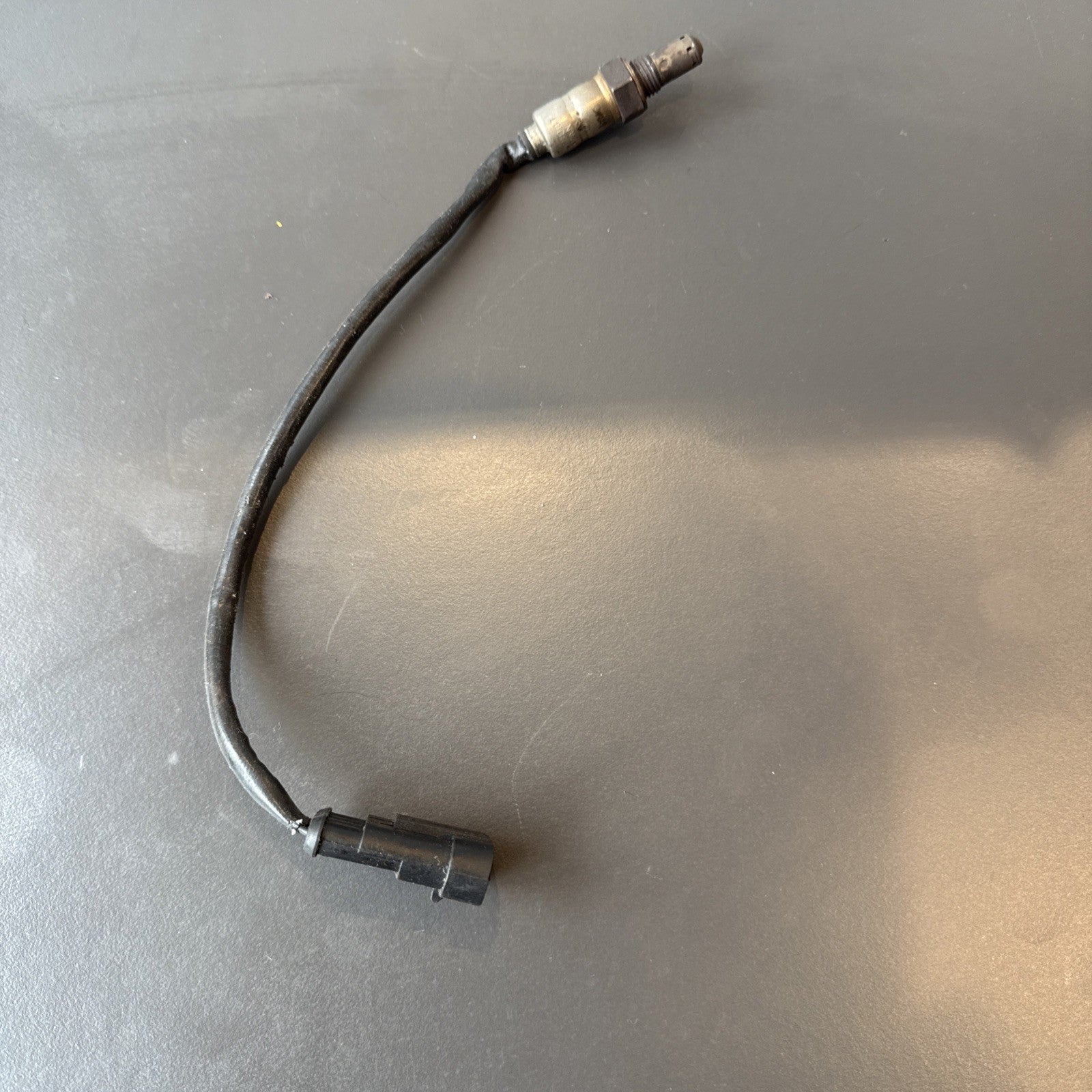 9b701496-49a1-4849-a292-f73d71c58535