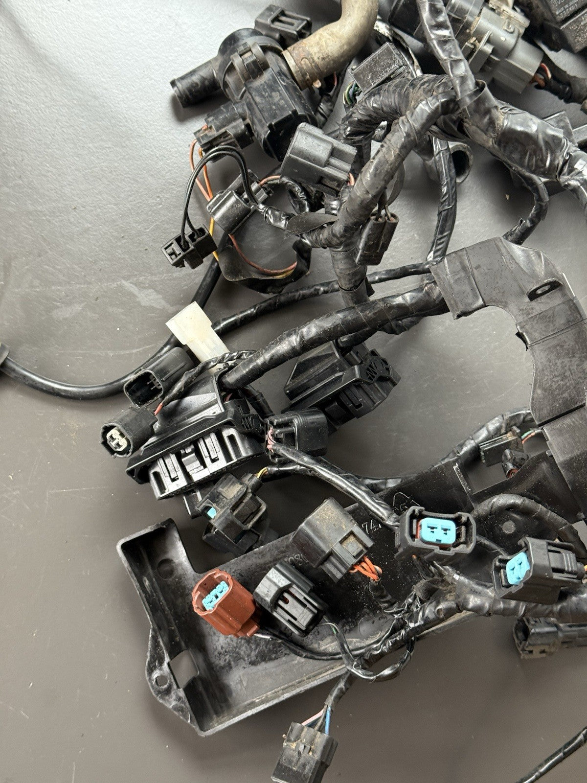 TRIUMPH STREET TRIPLE 675R WIRING LOOM Engine Wiring Loom 2013-2016